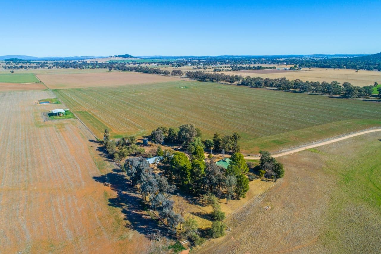 165 Pengillys Lane, Eugowra NSW 2806, Eugowra - Image 1