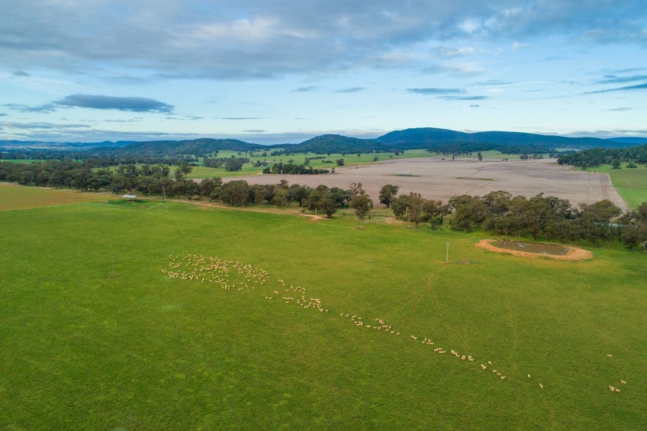 165 Pengillys Lane, Eugowra NSW 2806, Eugowra - Thumbnail 4