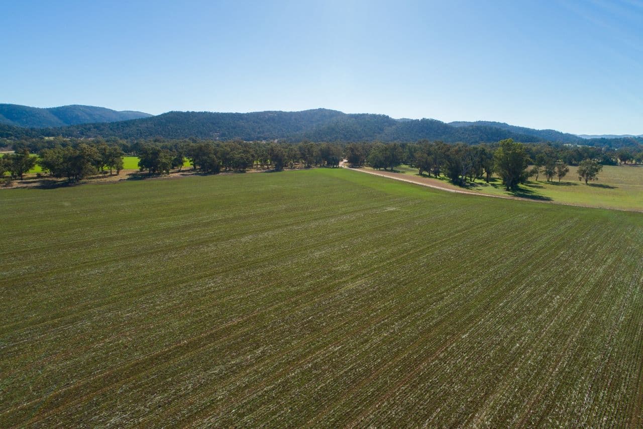 165 Pengillys Lane, Eugowra NSW 2806, Eugowra - Thumbnail 7