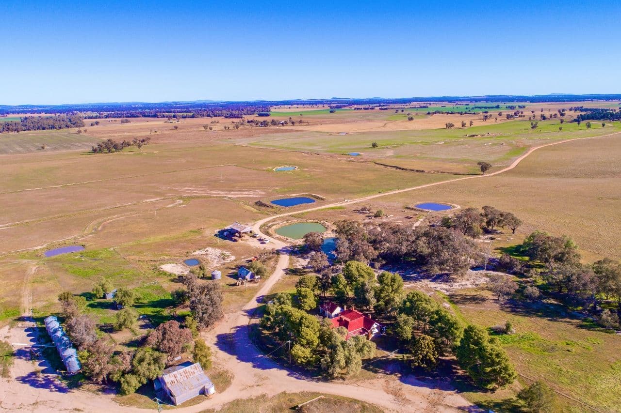 7853 The Escort Way, Eugowra NSW 2806, Eugowra - Image 1