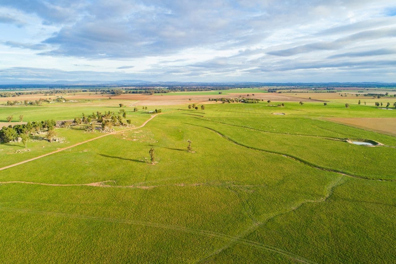 7853 The Escort Way, Eugowra NSW 2806, Eugowra - Thumbnail 5