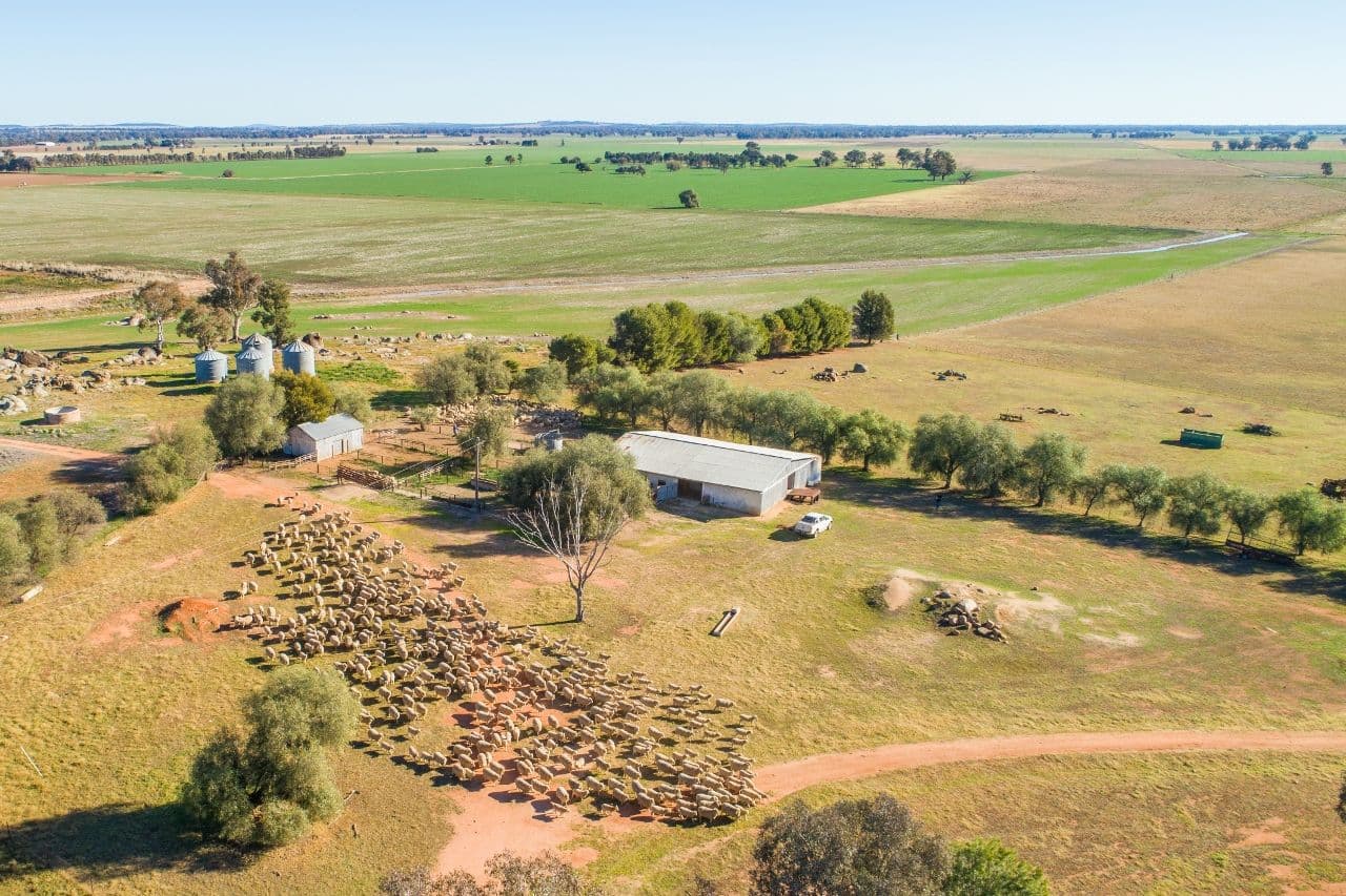 7853 The Escort Way, Eugowra NSW 2806, Eugowra - Thumbnail 4