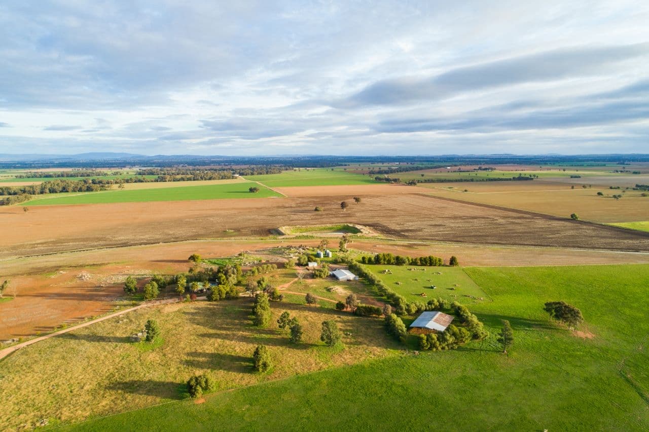 7853 The Escort Way, Eugowra NSW 2806, Eugowra - Thumbnail 8