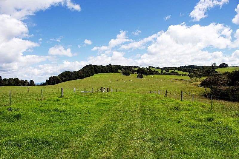 5443 Waterfall Way, Dorrigo NSW 2453, Dorrigo - Thumbnail 8