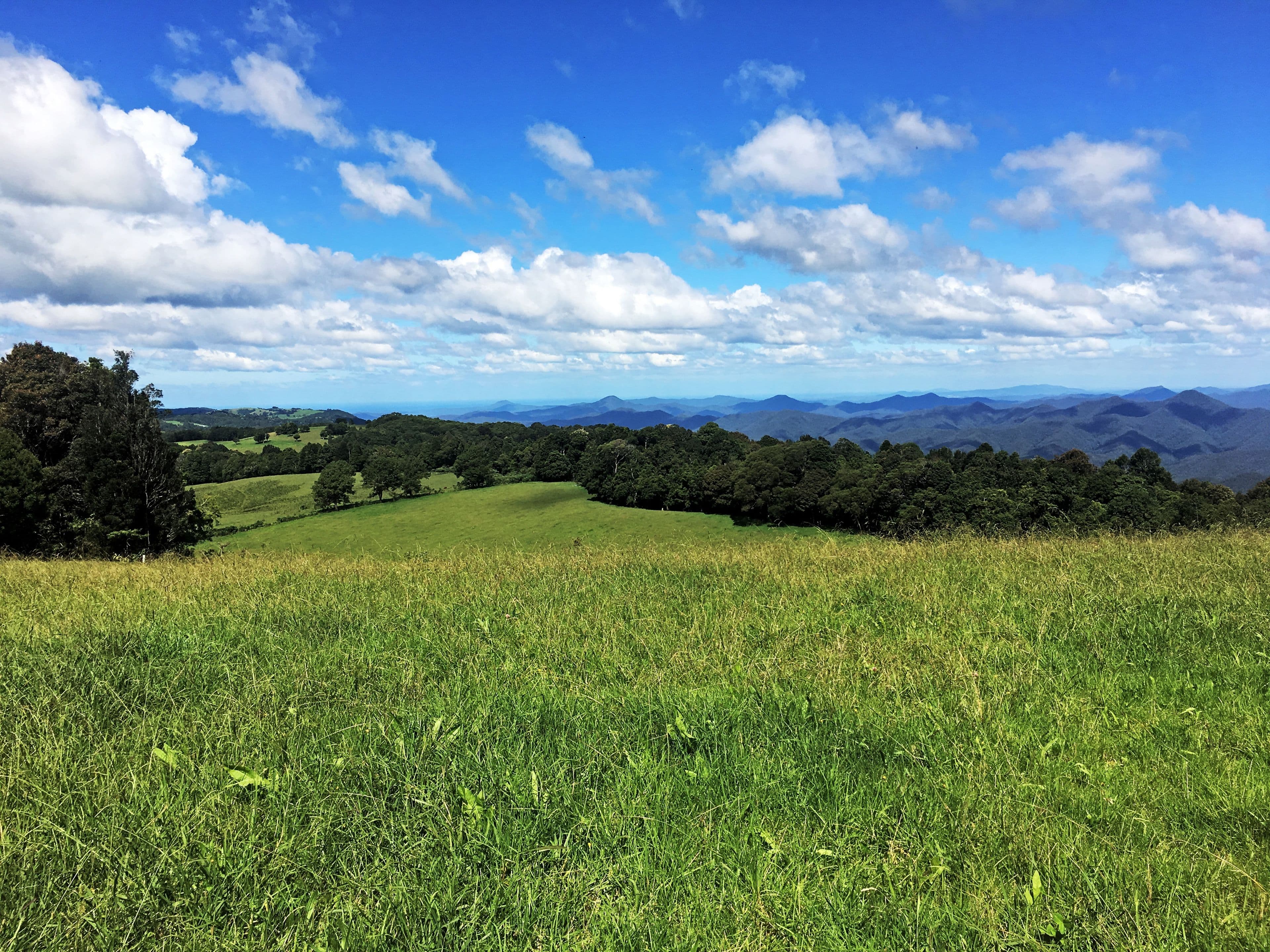 5443 Waterfall Way, Dorrigo NSW 2453, Dorrigo - Thumbnail 6