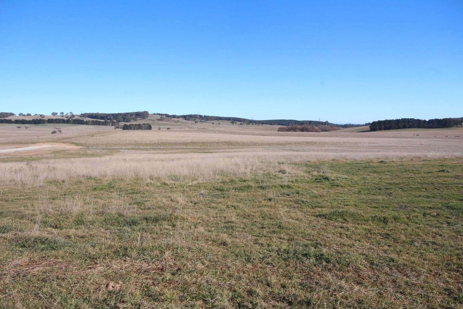 Lot 97 Bracken Estate, Oberon NSW 2787, Oberon - Thumbnail 2