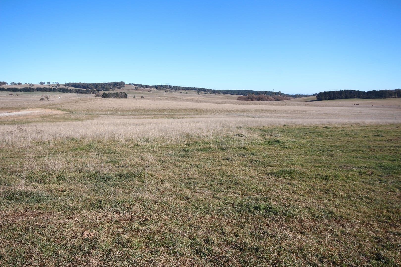 Lot 96 Bracken Estate, Oberon NSW 2787, Oberon - Thumbnail 2