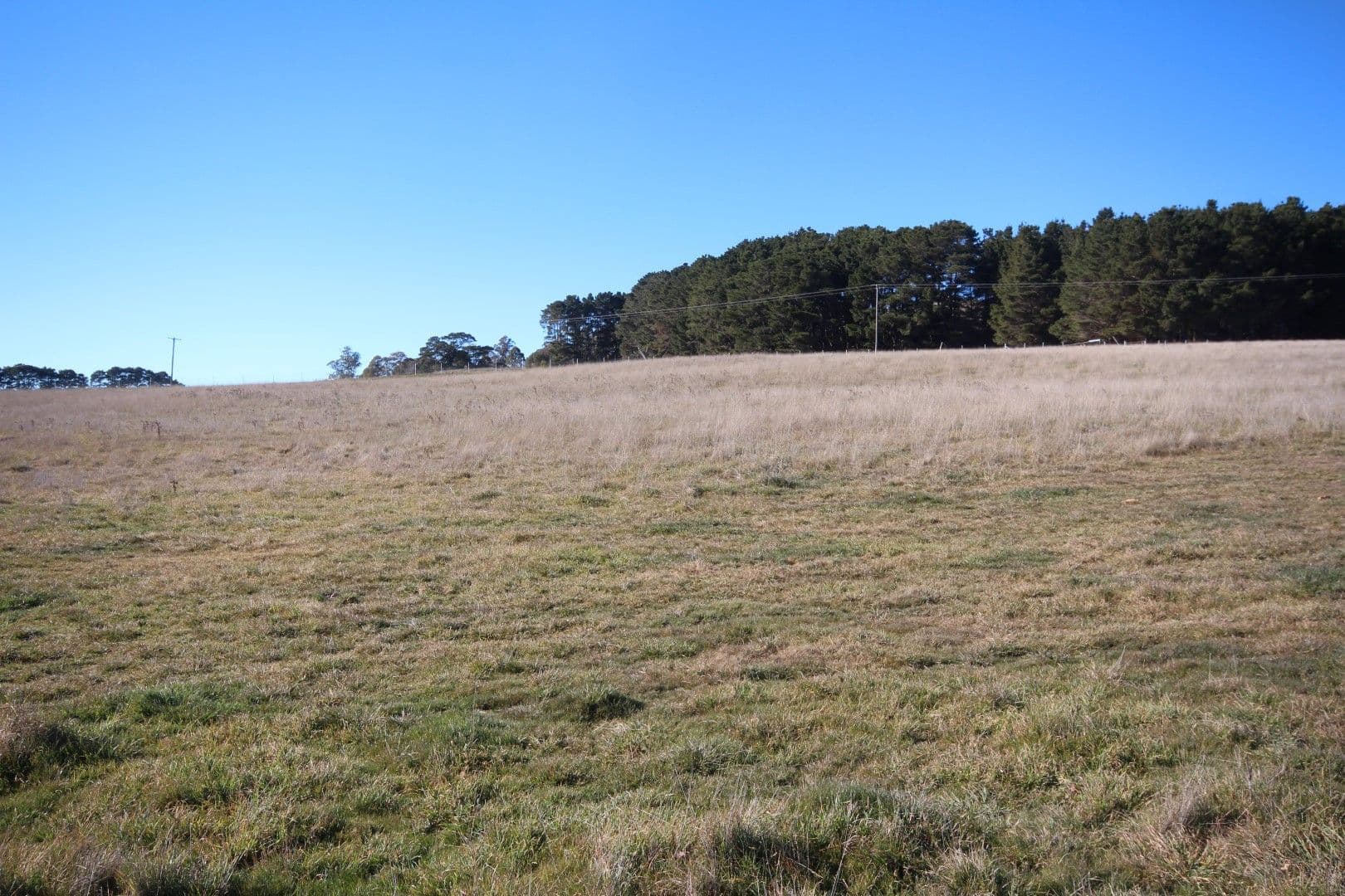 Lot 90 Bracken Estate, Oberon NSW 2787, Oberon - Thumbnail 2