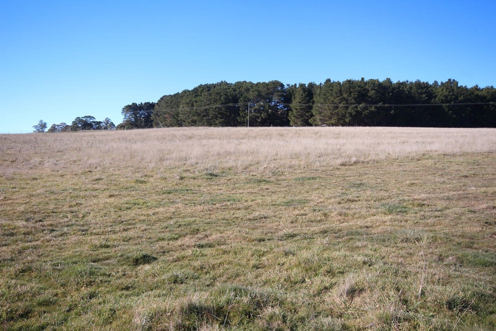 Lot 90 Bracken Estate, Oberon NSW 2787, Oberon - Thumbnail 3