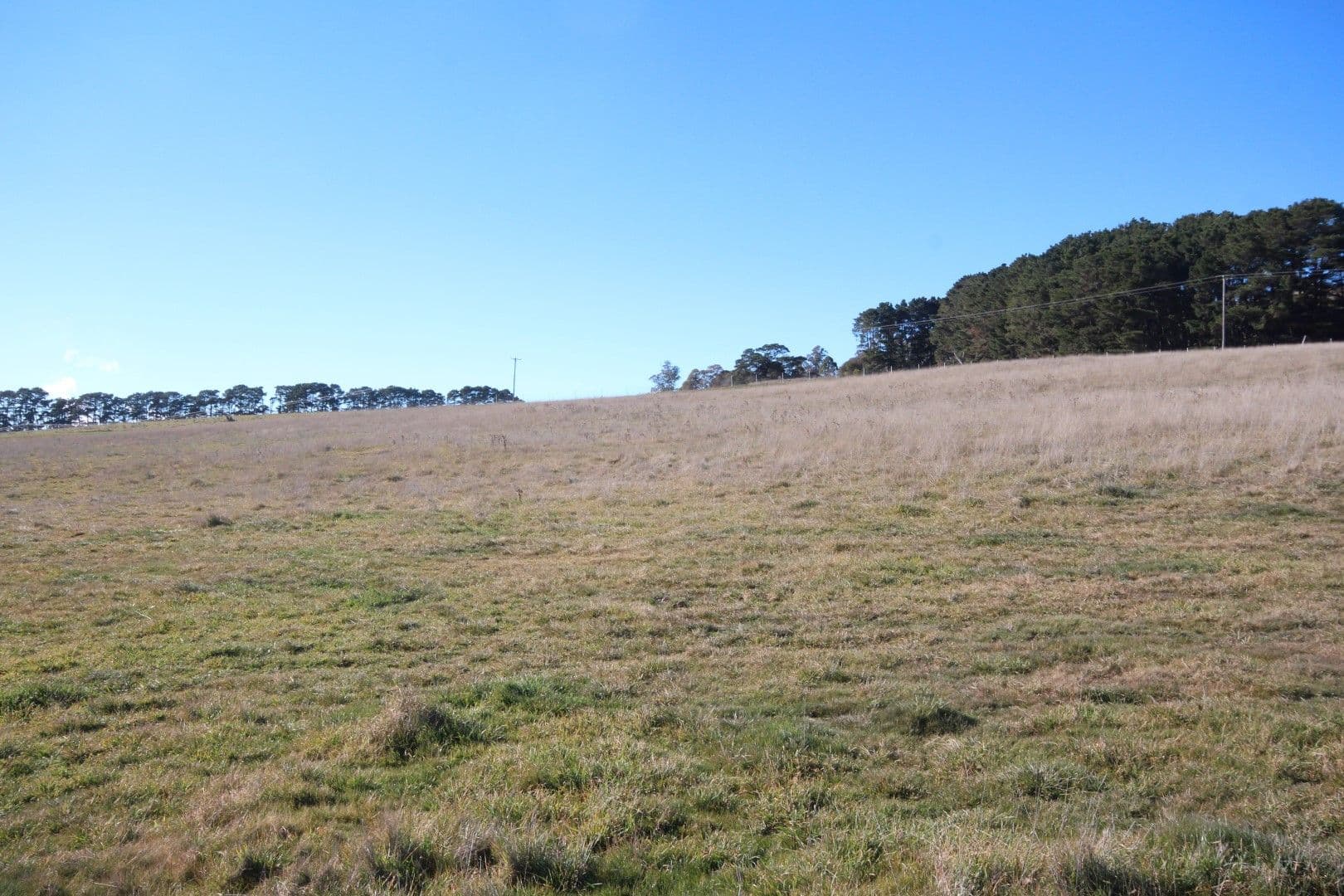 Lot 90 Bracken Estate, Oberon NSW 2787, Oberon - Image 1