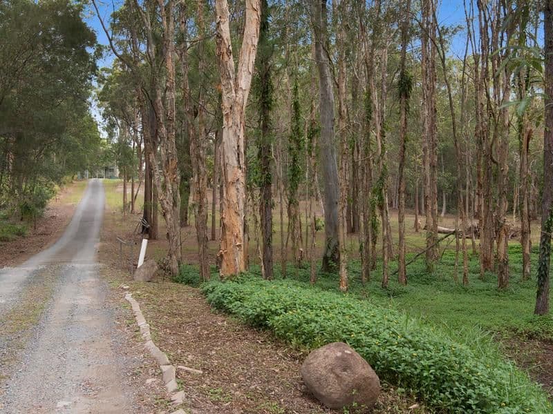 103 Warriewood Street, Chandler QLD 4155, Chandler - Thumbnail 6