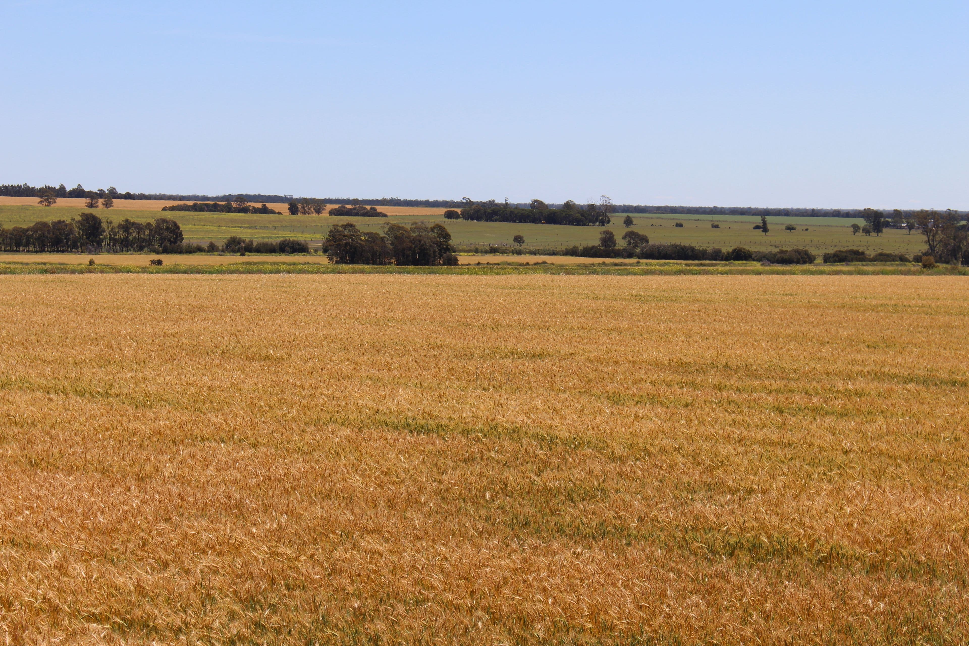 00 Turner Road, Millmerran QLD 4357, Millmerran - Image 1