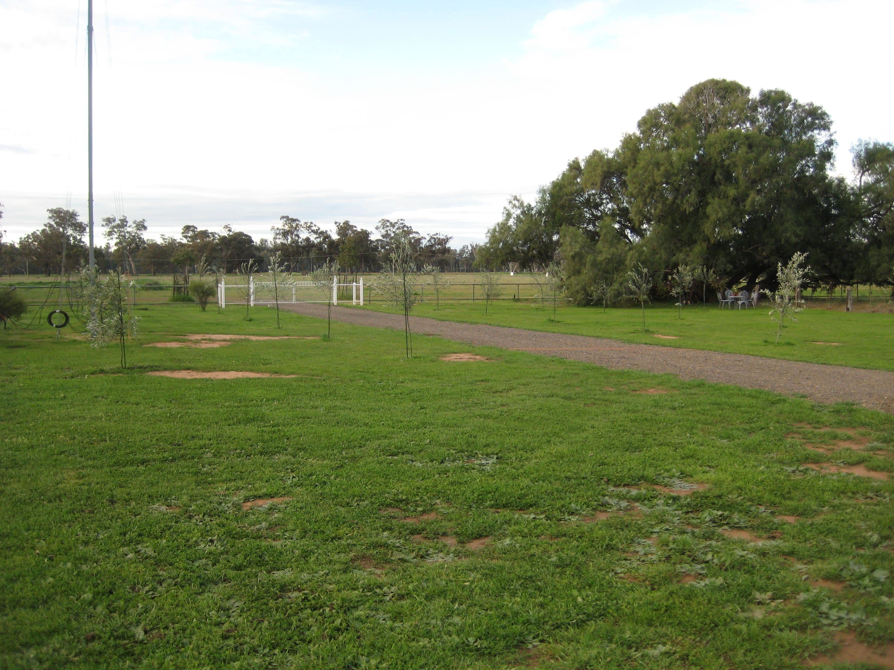 2816 Warroo Road, Forbes NSW 2871, Forbes - Thumbnail 8