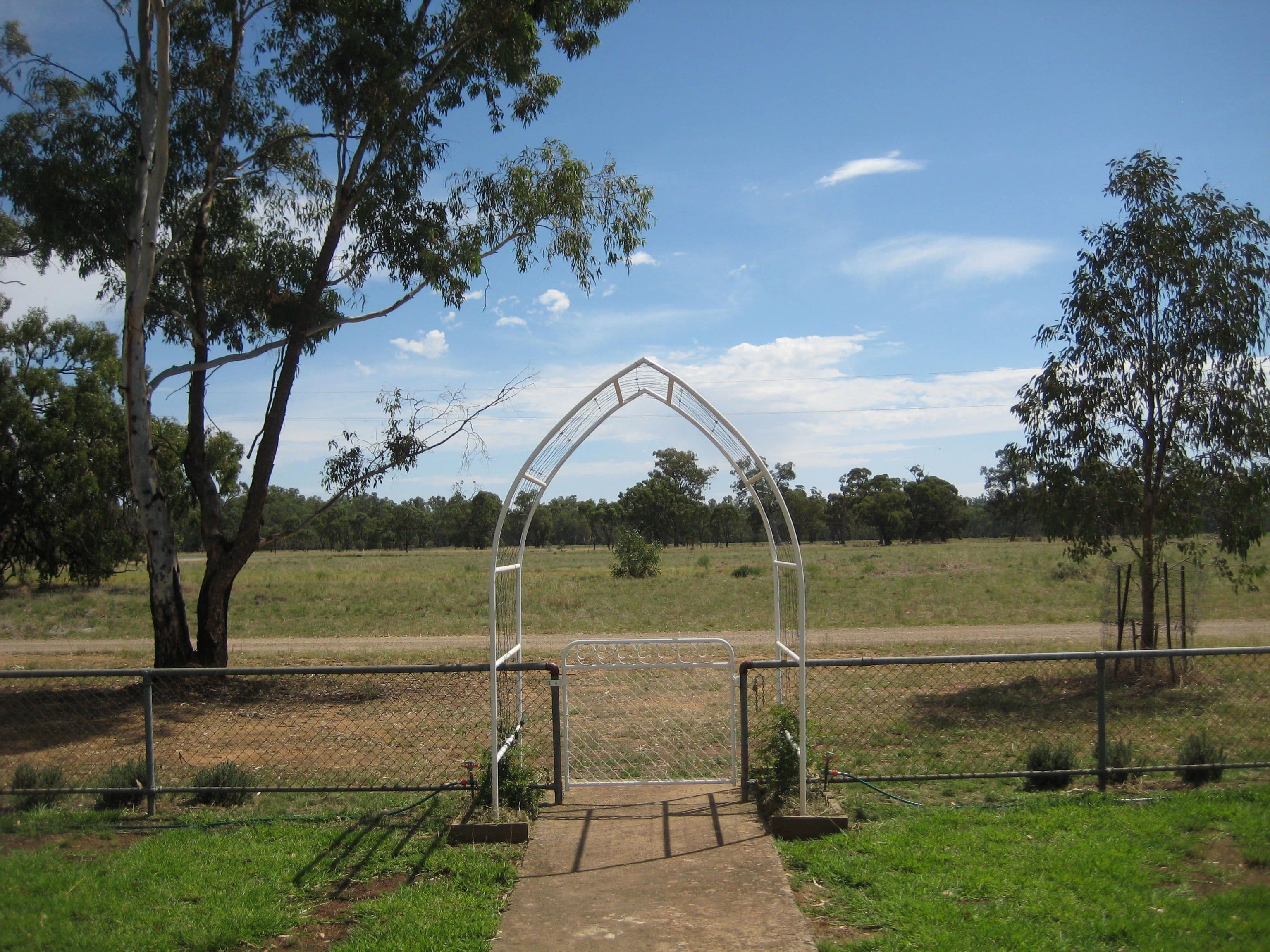 2816 Warroo Road, Forbes NSW 2871, Forbes - Thumbnail 3