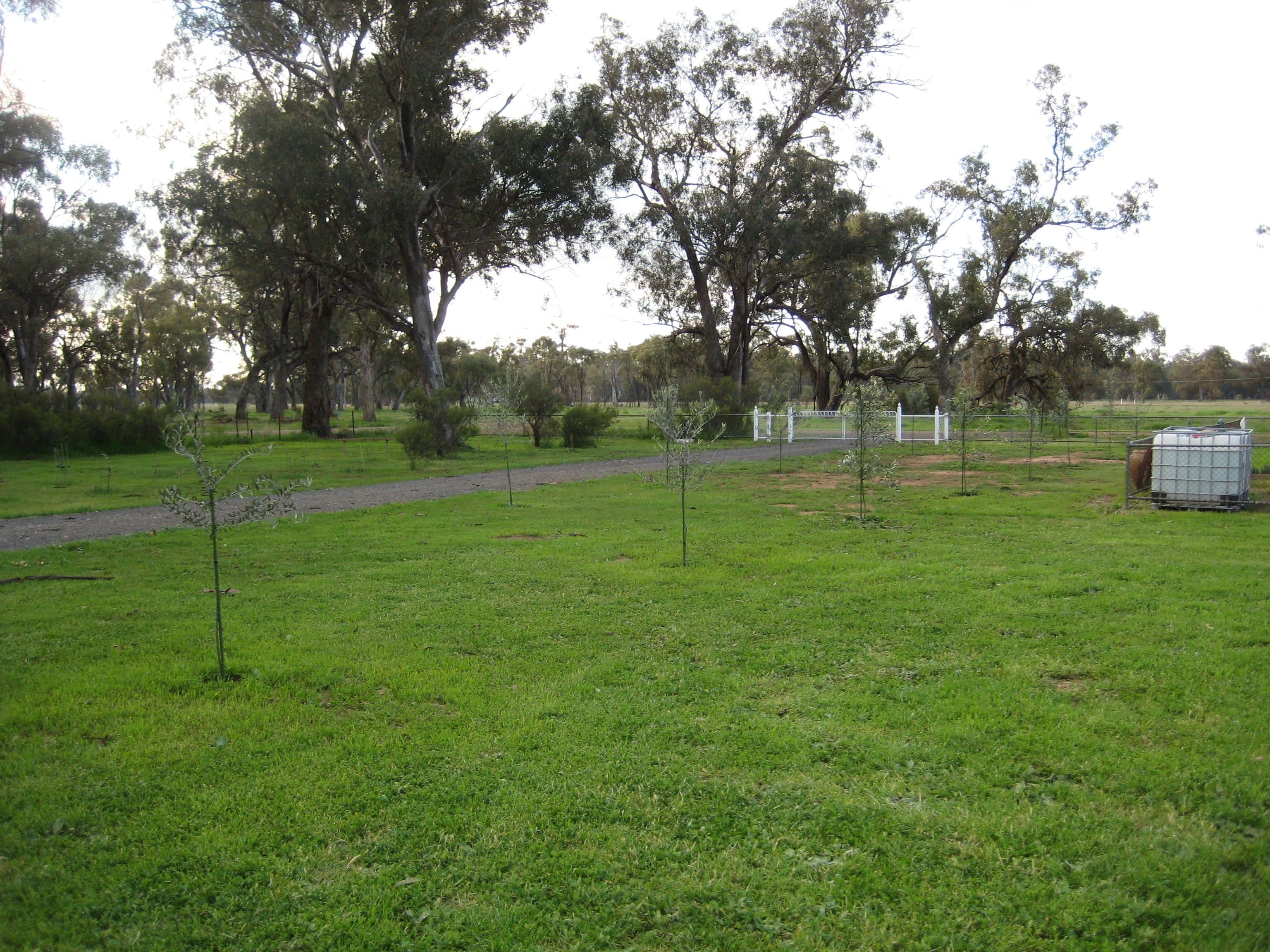 2816 Warroo Road, Forbes NSW 2871, Forbes - Thumbnail 7
