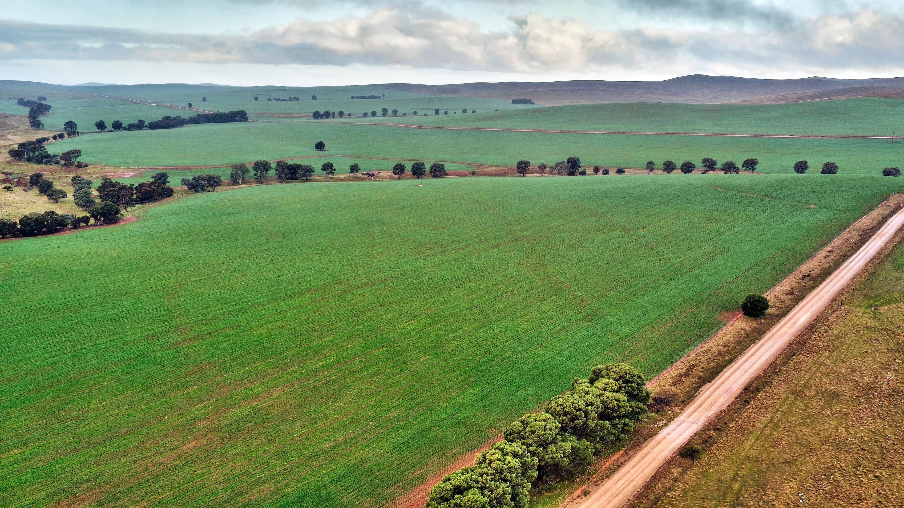 "Newikie" Old Belcunda Road, Mount Bryan SA 5418, Mount Bryan - Thumbnail 7