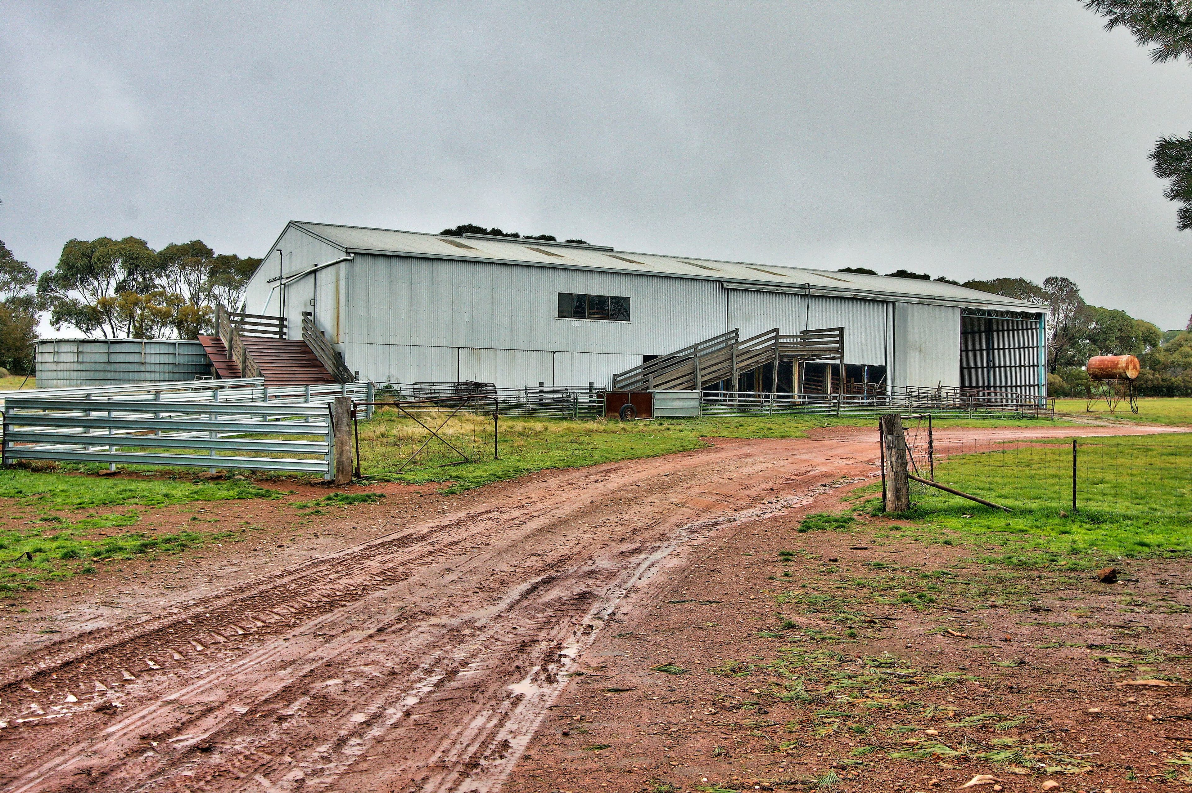"Newikie" Old Belcunda Road, Mount Bryan SA 5418, Mount Bryan - Thumbnail 3