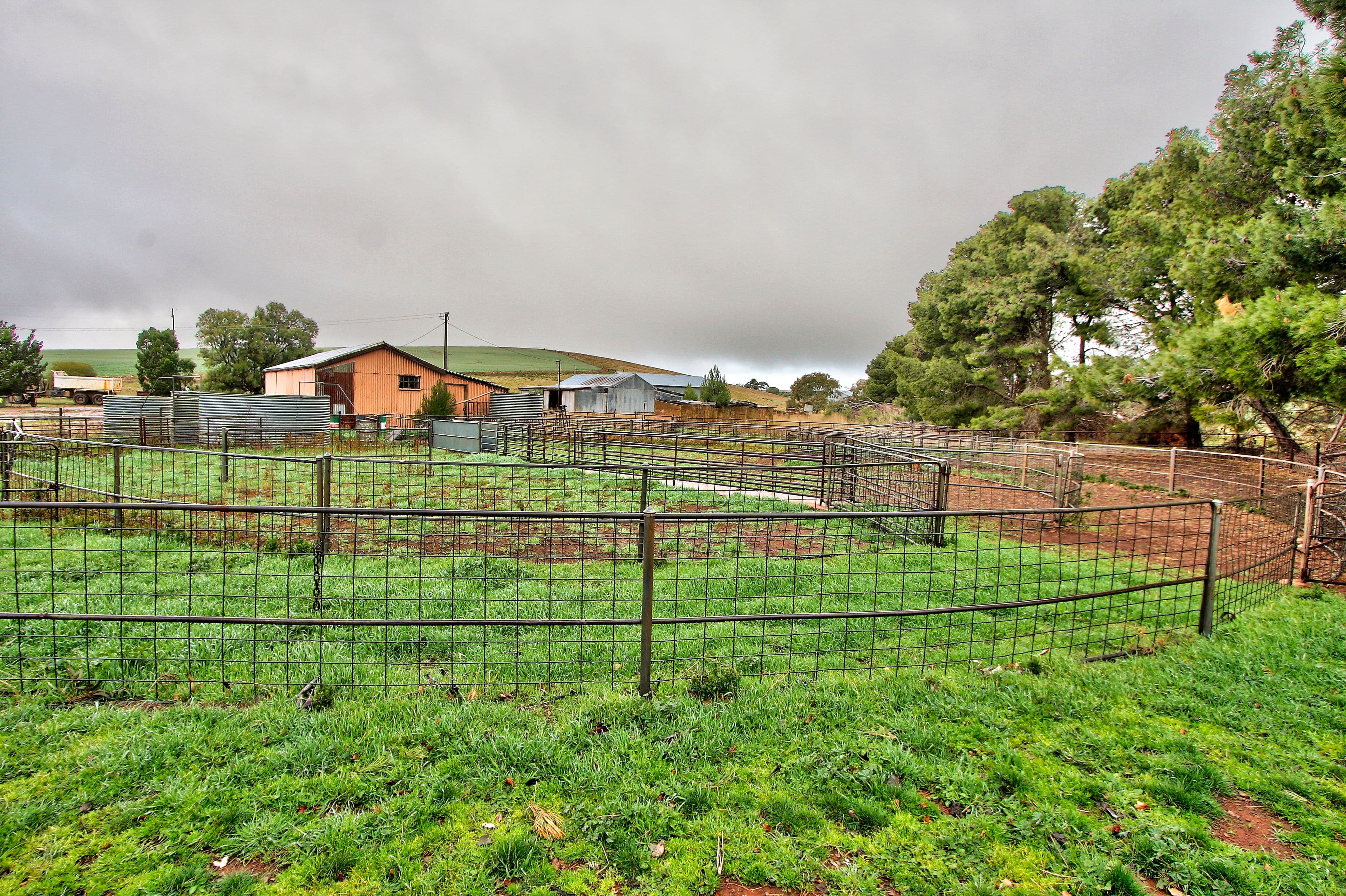 "Newikie" Old Belcunda Road, Mount Bryan SA 5418, Mount Bryan - Thumbnail 6