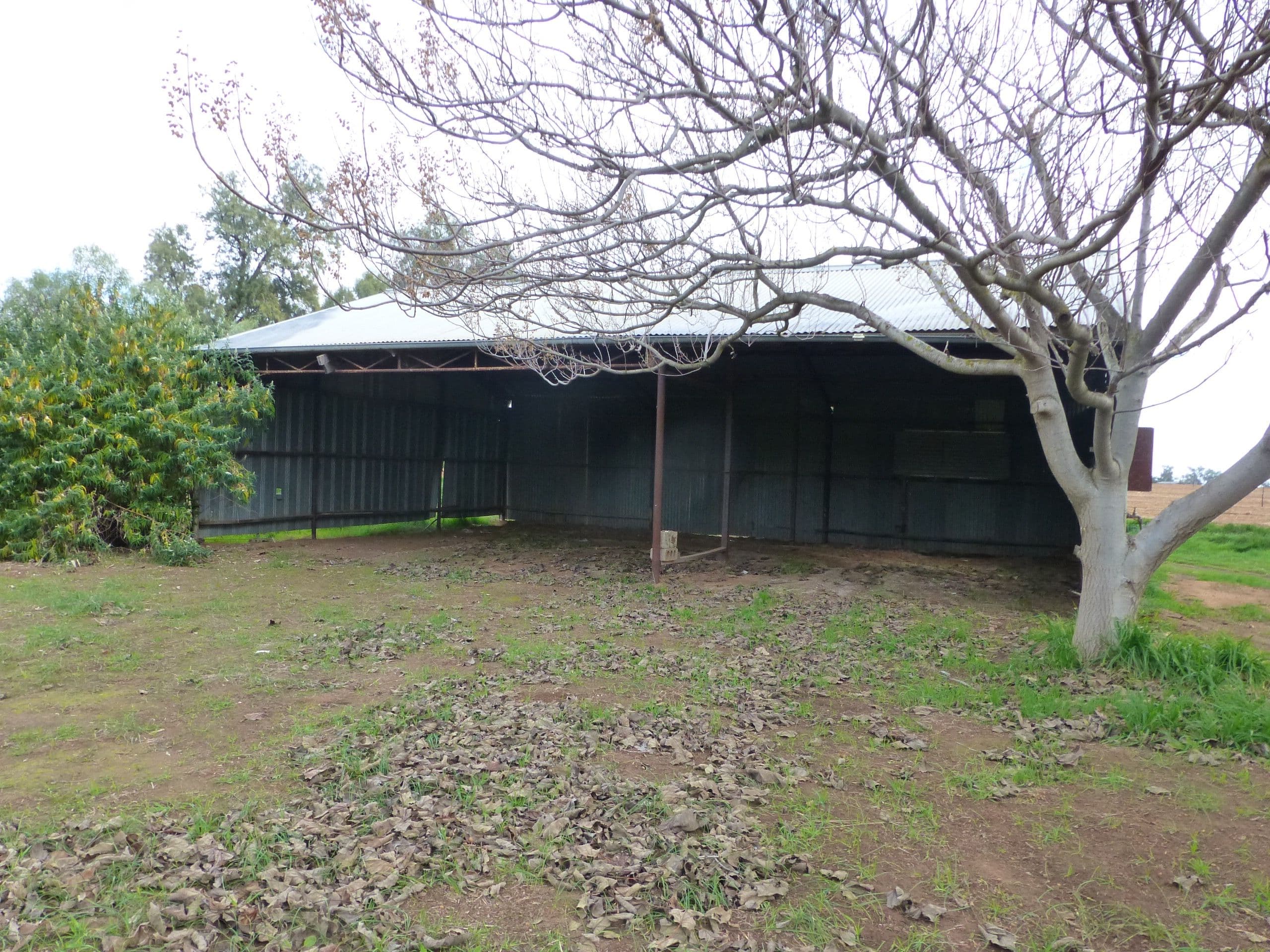 139 Torrumbarry Weir Road, Torrumbarry VIC 3562, Torrumbarry - Thumbnail 2