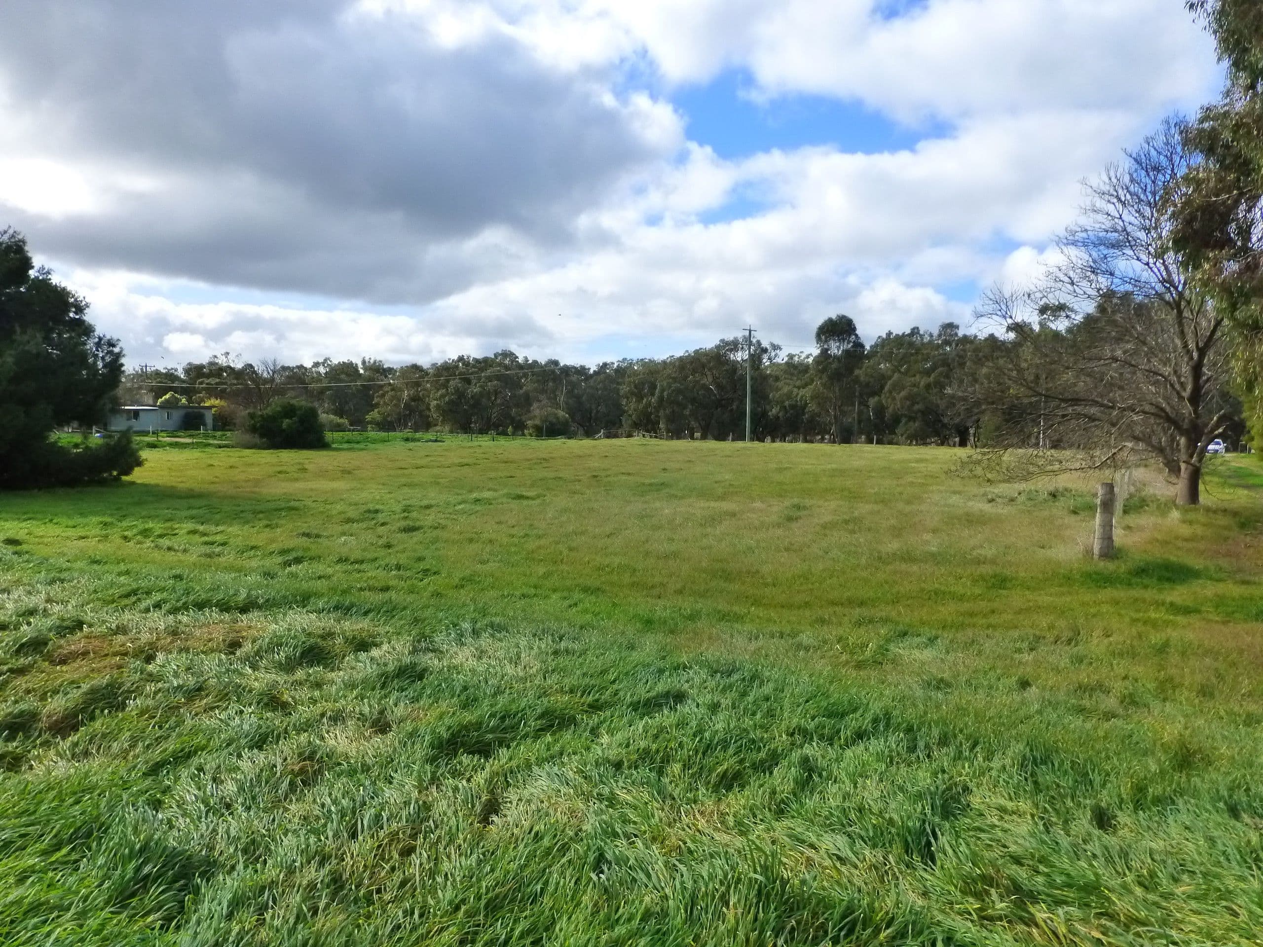 139 Torrumbarry Weir Road, Torrumbarry VIC 3562, Torrumbarry - Thumbnail 8