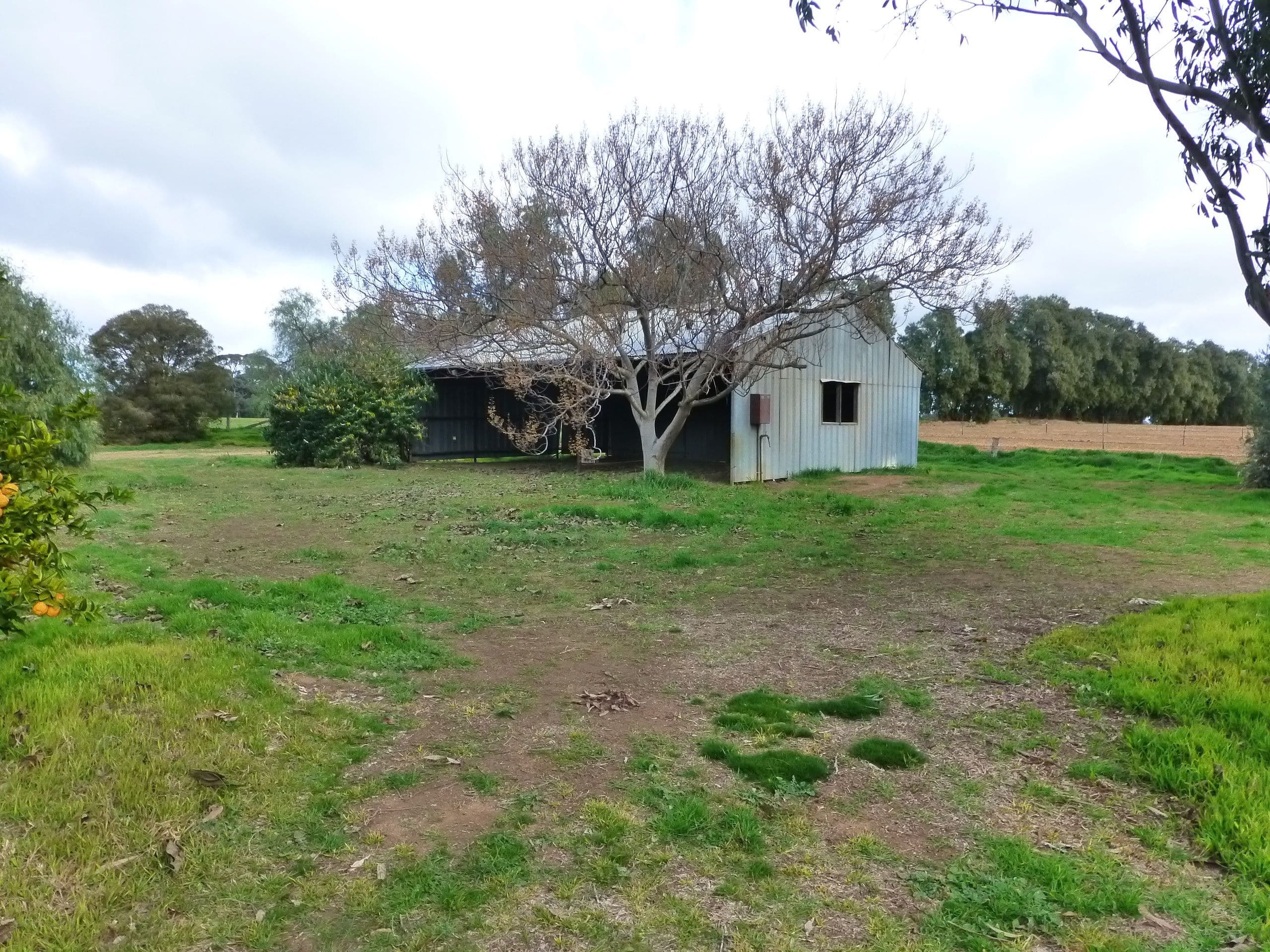 139 Torrumbarry Weir Road, Torrumbarry VIC 3562, Torrumbarry - Image 1