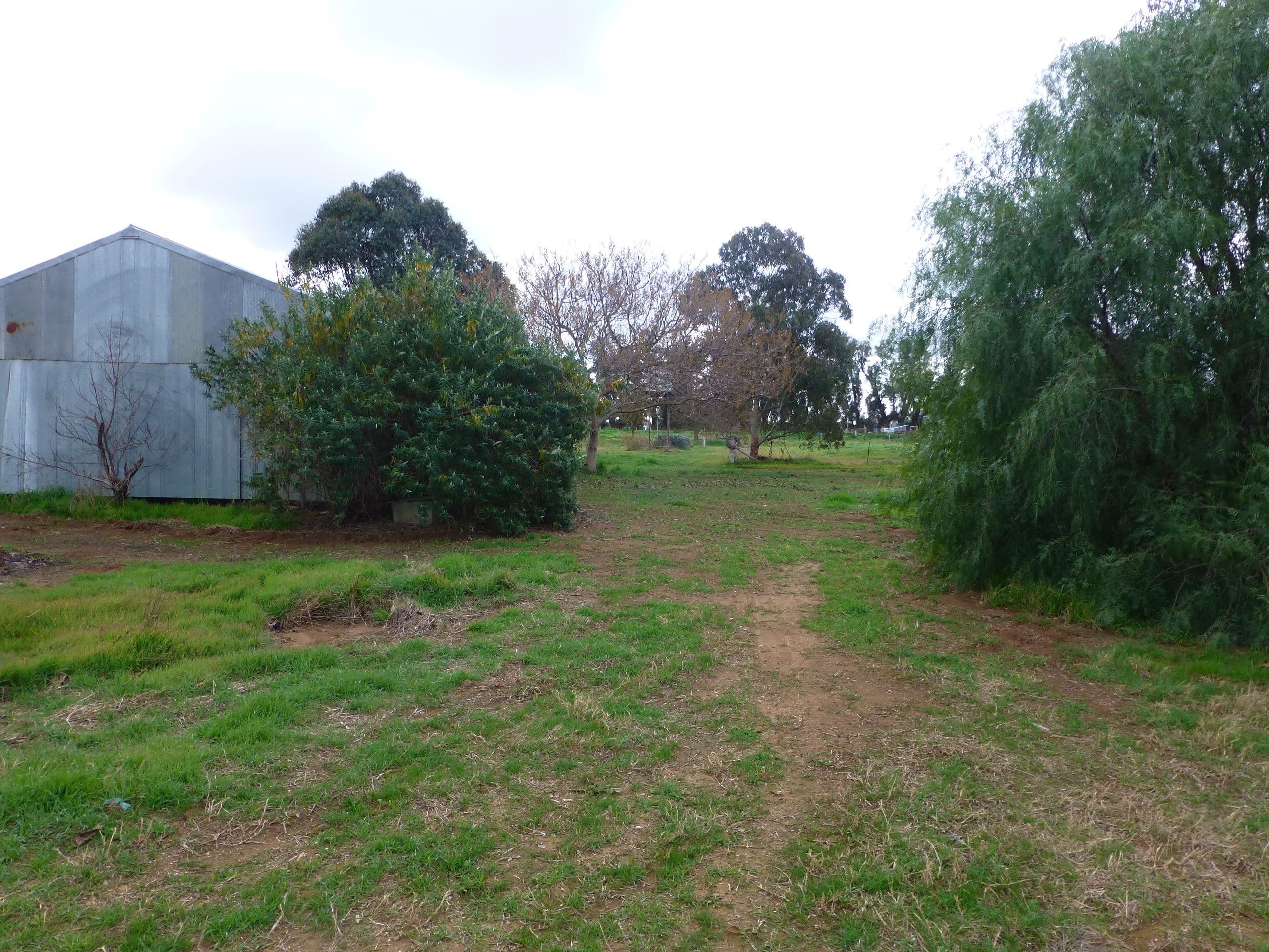139 Torrumbarry Weir Road, Torrumbarry VIC 3562, Torrumbarry - Thumbnail 3