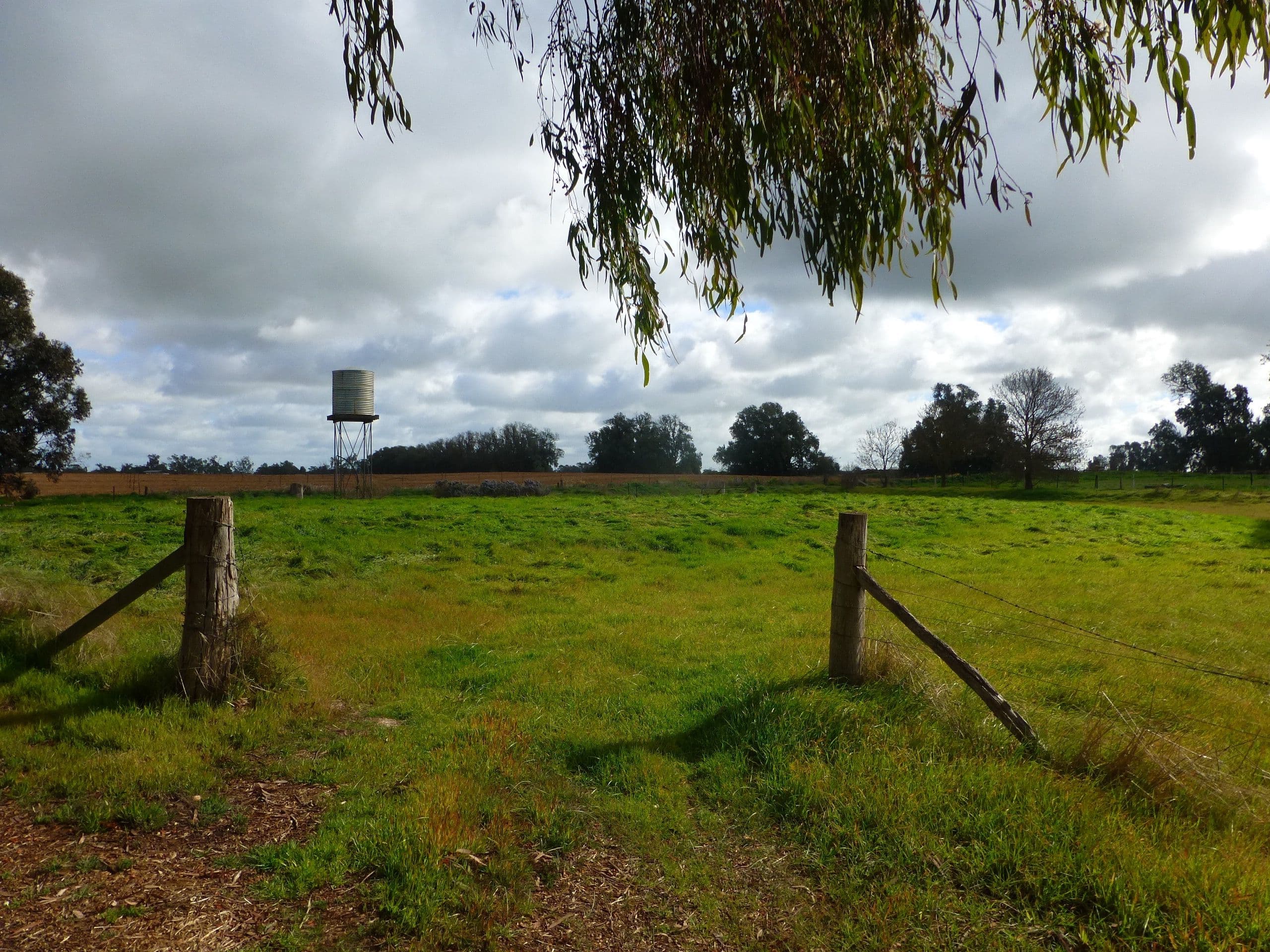 139 Torrumbarry Weir Road, Torrumbarry VIC 3562, Torrumbarry - Thumbnail 7