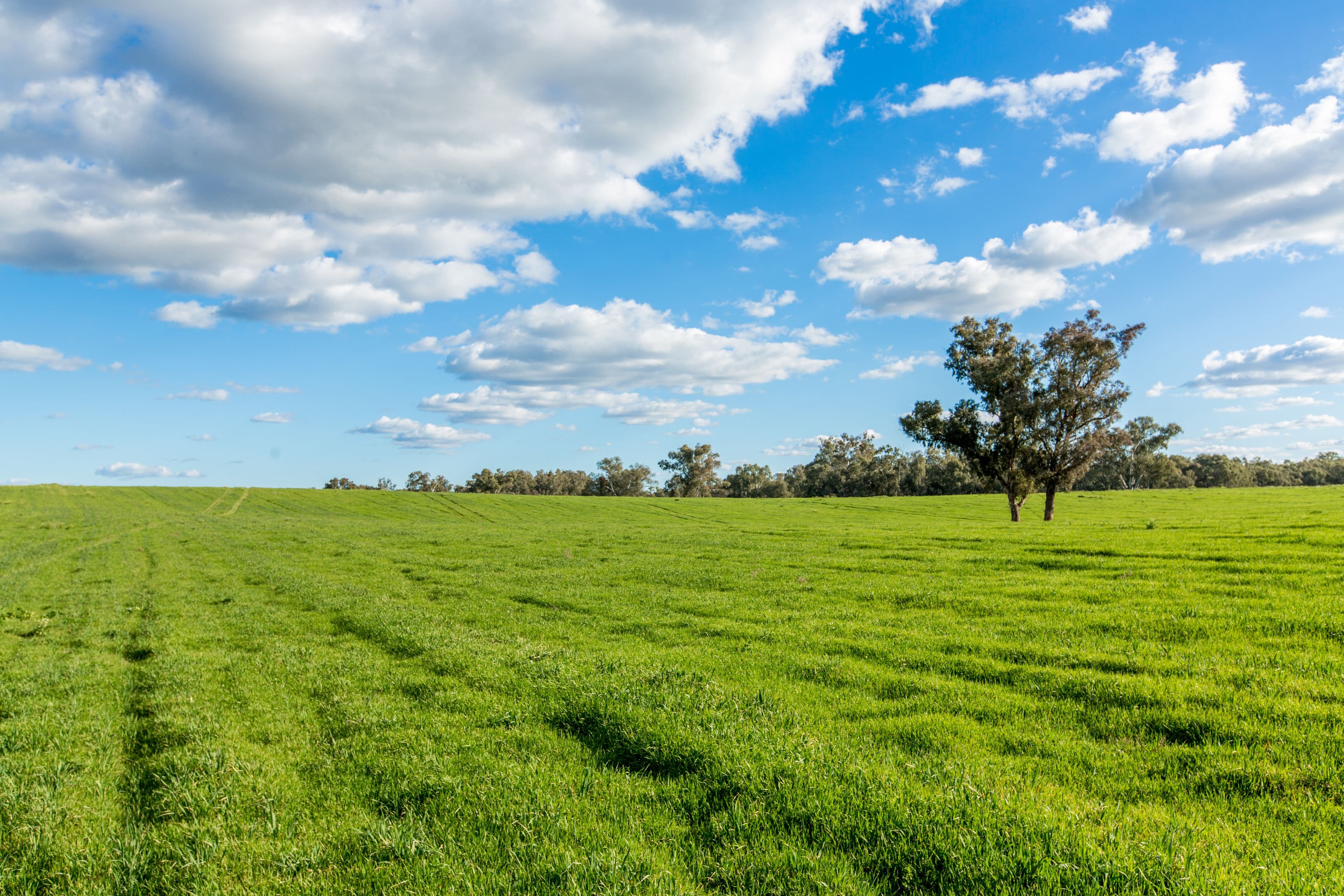678 Old Narrandera Road, Narrandera NSW 2700, Narrandera - Thumbnail 2