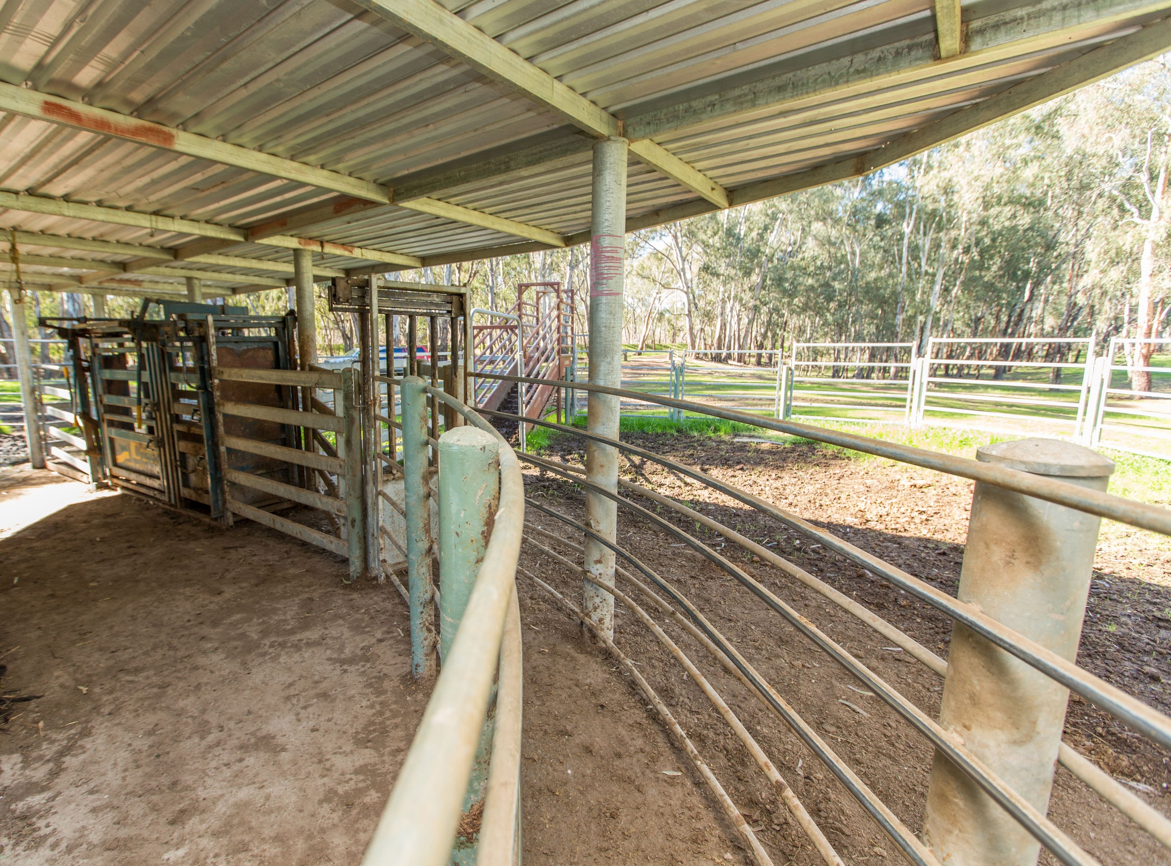 678 Old Narrandera Road, Narrandera NSW 2700, Narrandera - Thumbnail 5