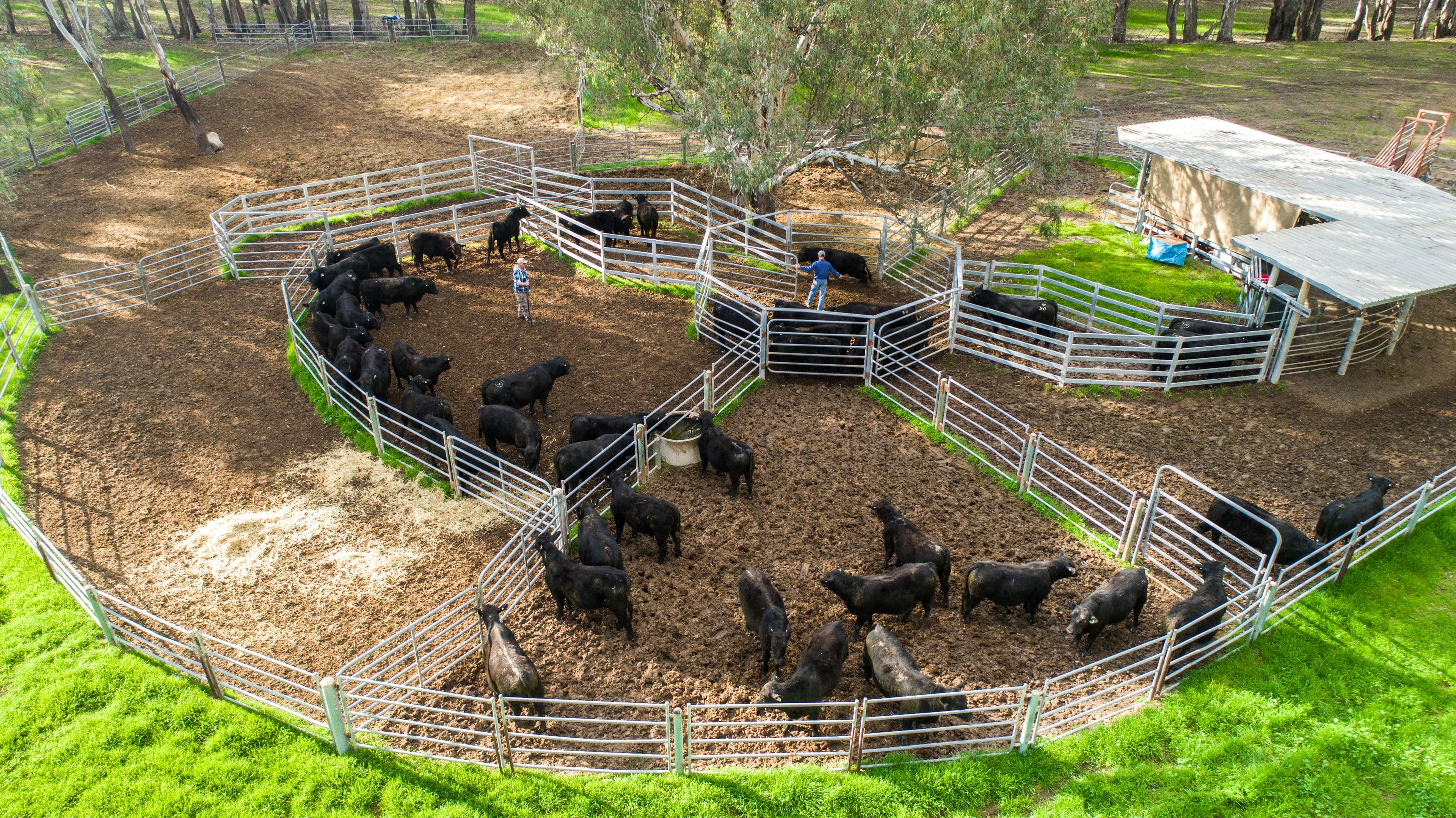 678 Old Narrandera Road, Narrandera NSW 2700, Narrandera - Thumbnail 4