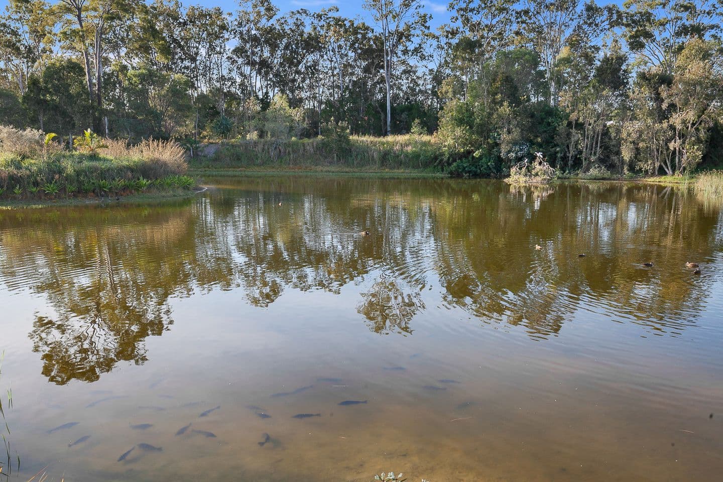 19 Sunny Way, Toogoom QLD 4655, Toogoom - Thumbnail 3