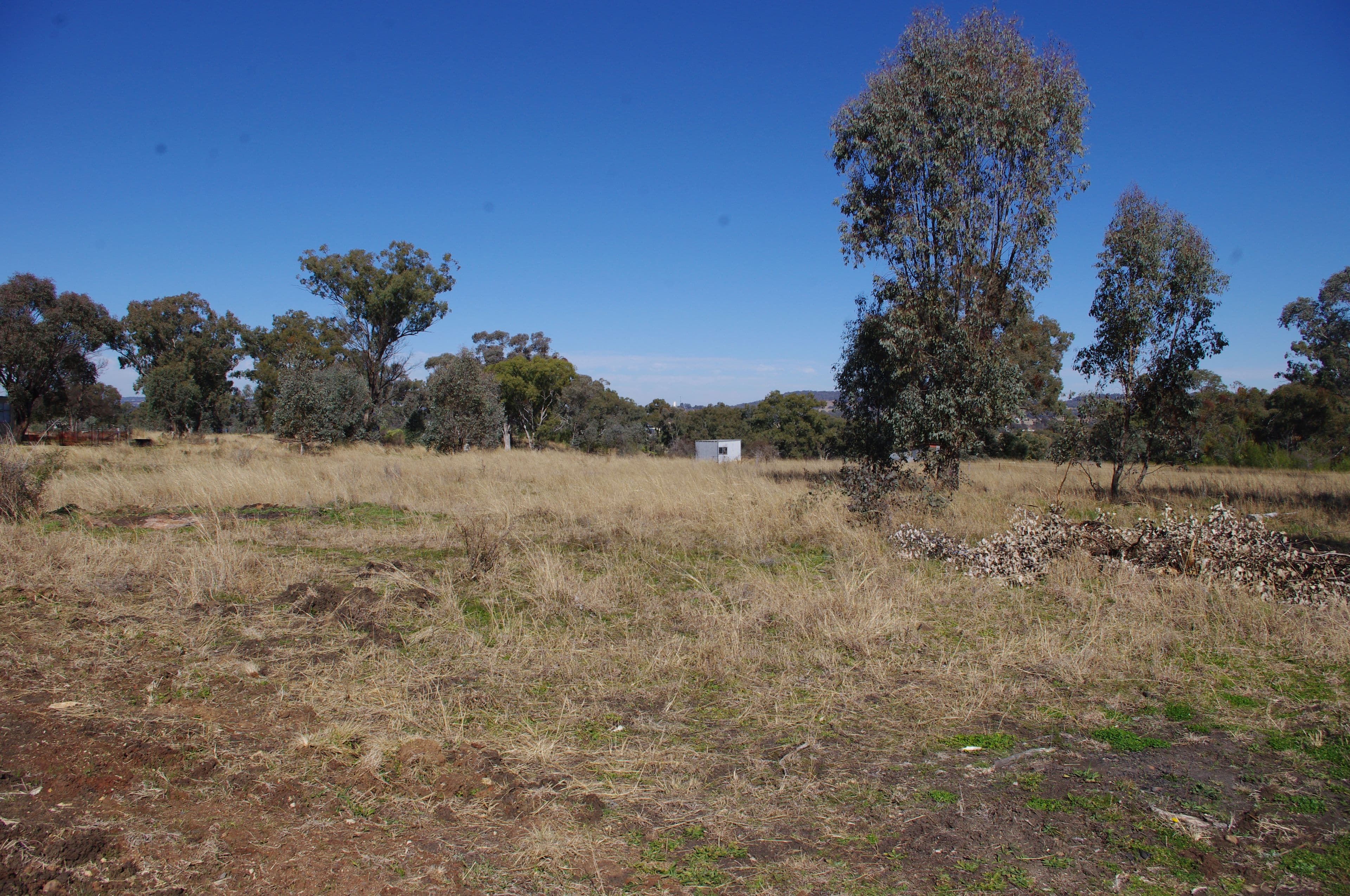 86 Toms Drive, Inverell NSW 2360, Inverell - Thumbnail 6