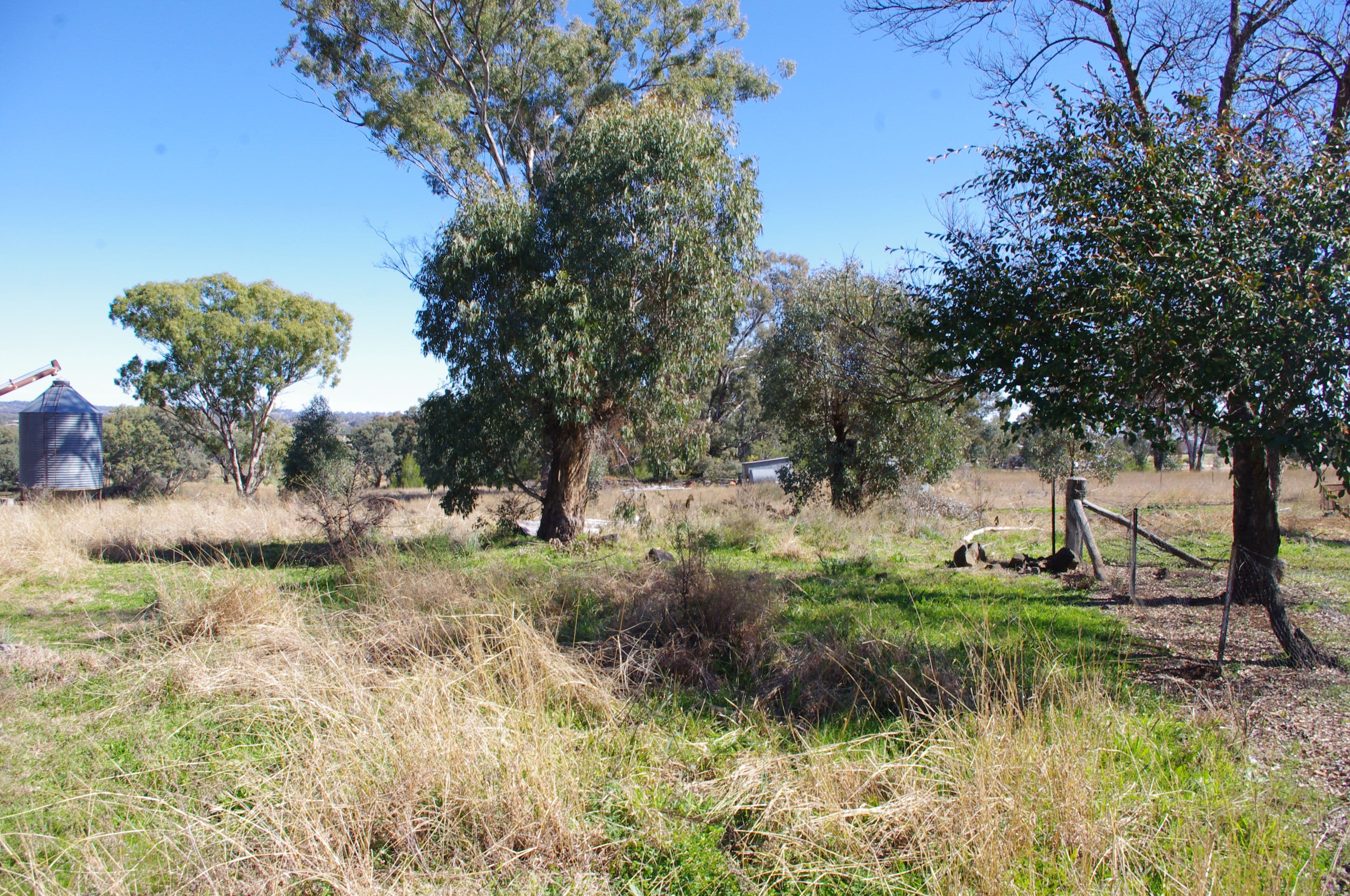 86 Toms Drive, Inverell NSW 2360, Inverell - Thumbnail 8