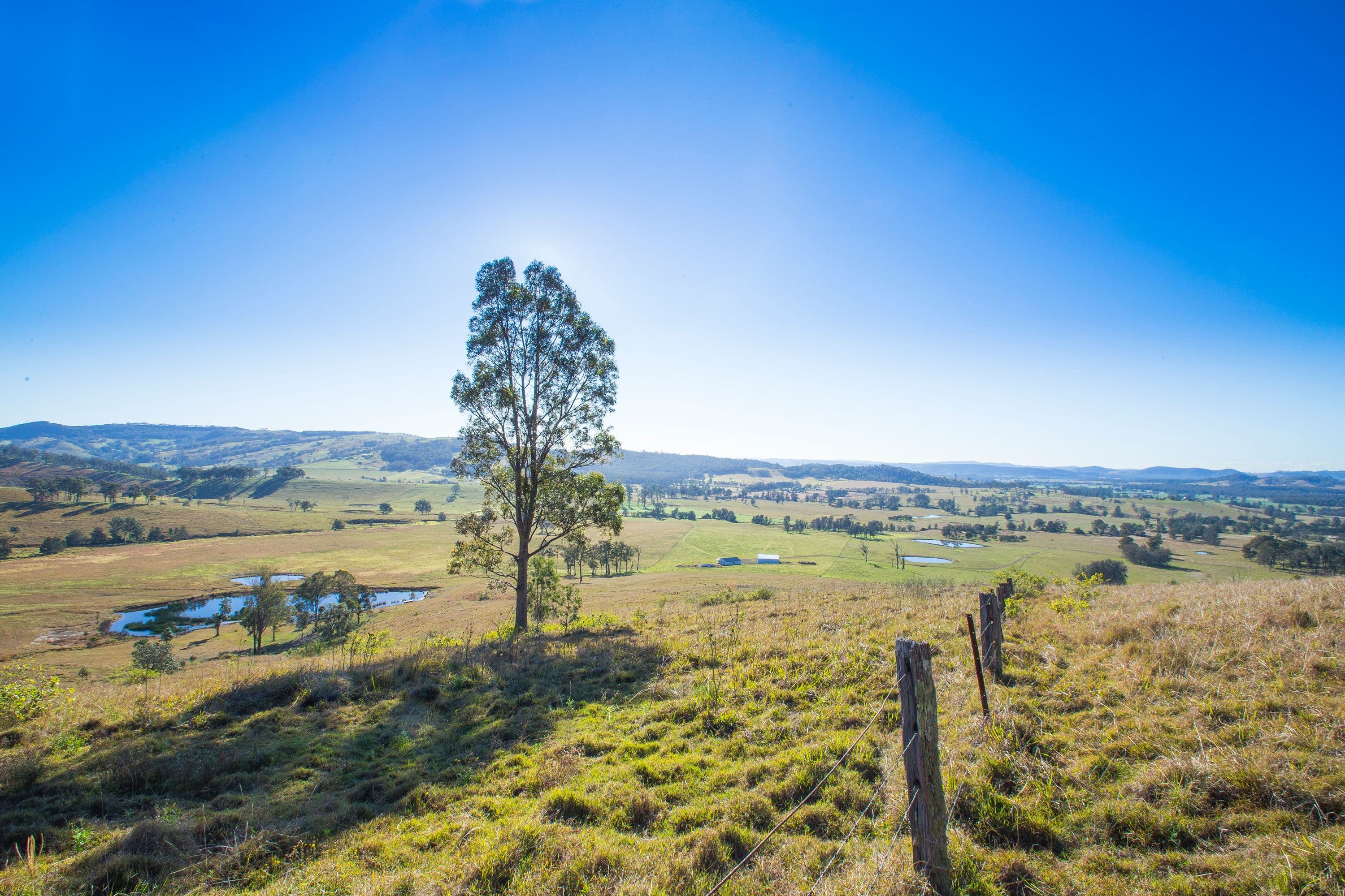 1401 Dungog Road, Wallarobba NSW 2420, Wallarobba - Thumbnail 5