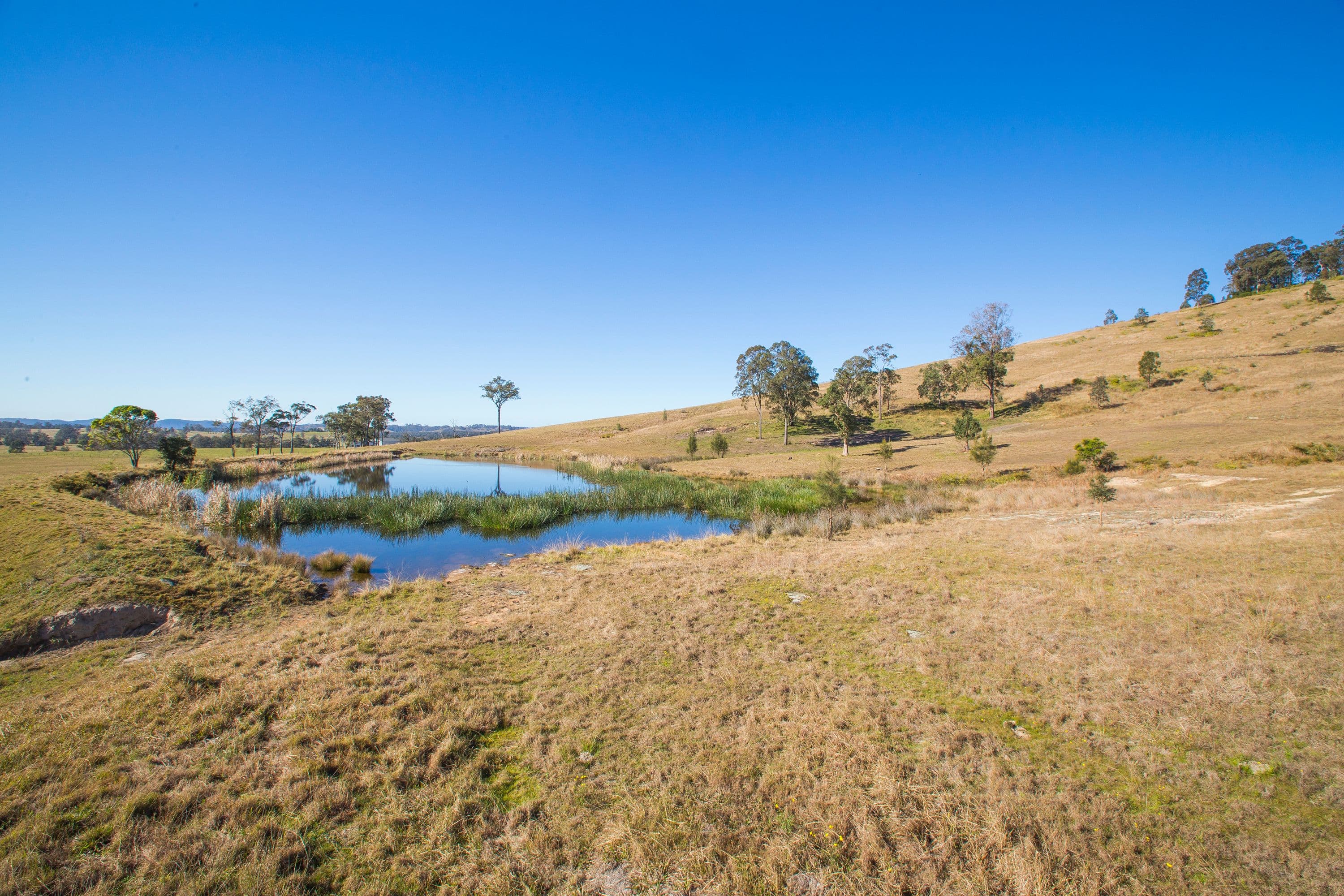 1401 Dungog Road, Wallarobba NSW 2420, Wallarobba - Thumbnail 8