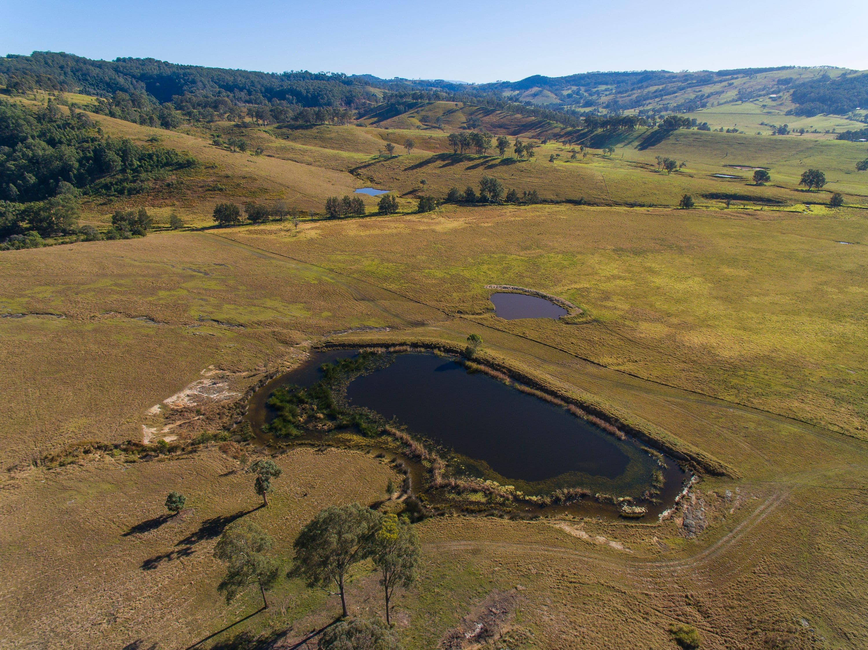 1401 Dungog Road, Wallarobba NSW 2420, Wallarobba - Thumbnail 3