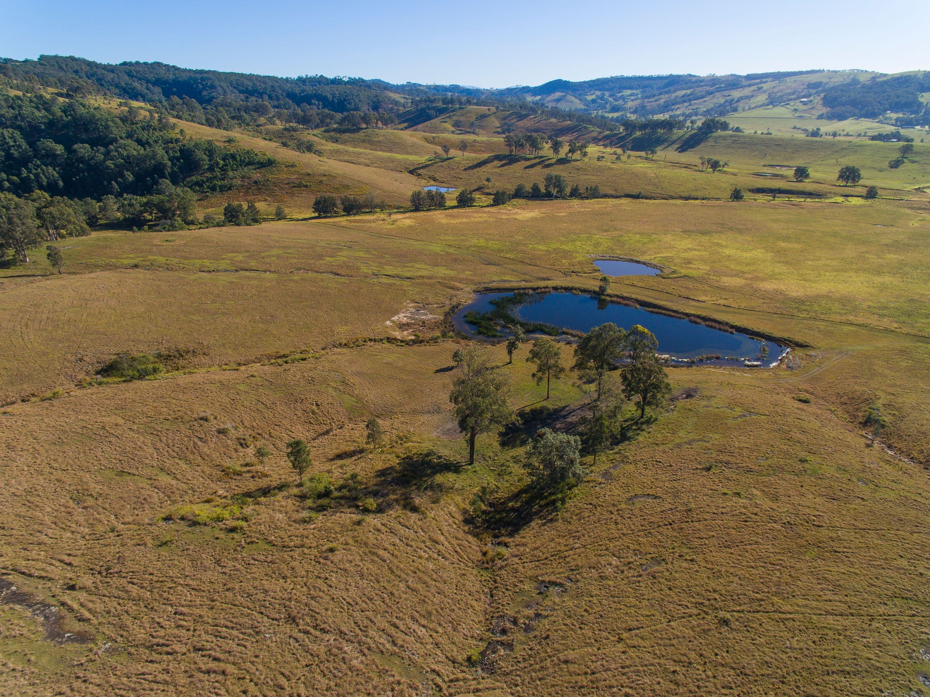 1401 Dungog Road, Wallarobba NSW 2420, Wallarobba - Thumbnail 2