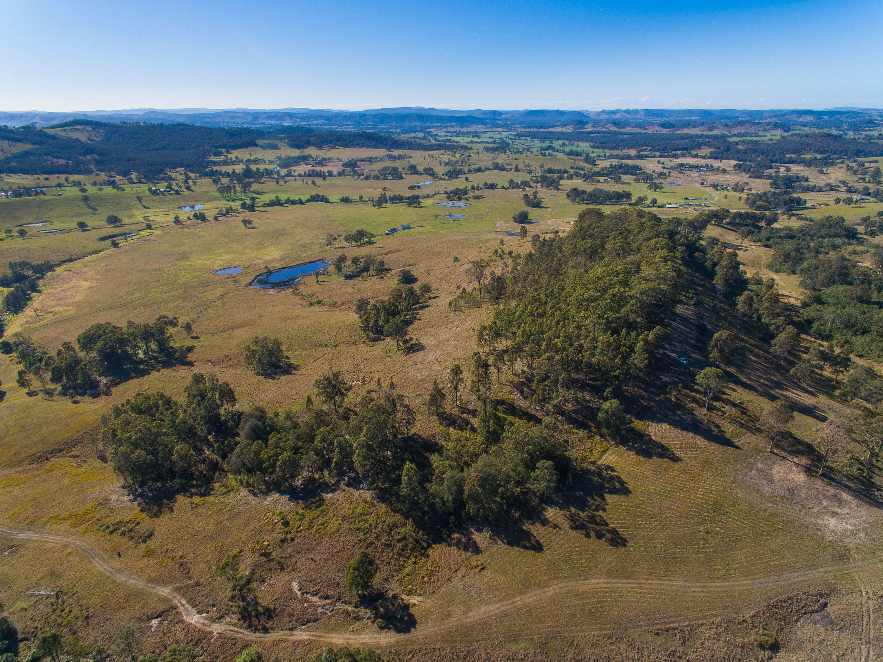 1401 Dungog Road, Wallarobba NSW 2420, Wallarobba - Thumbnail 4