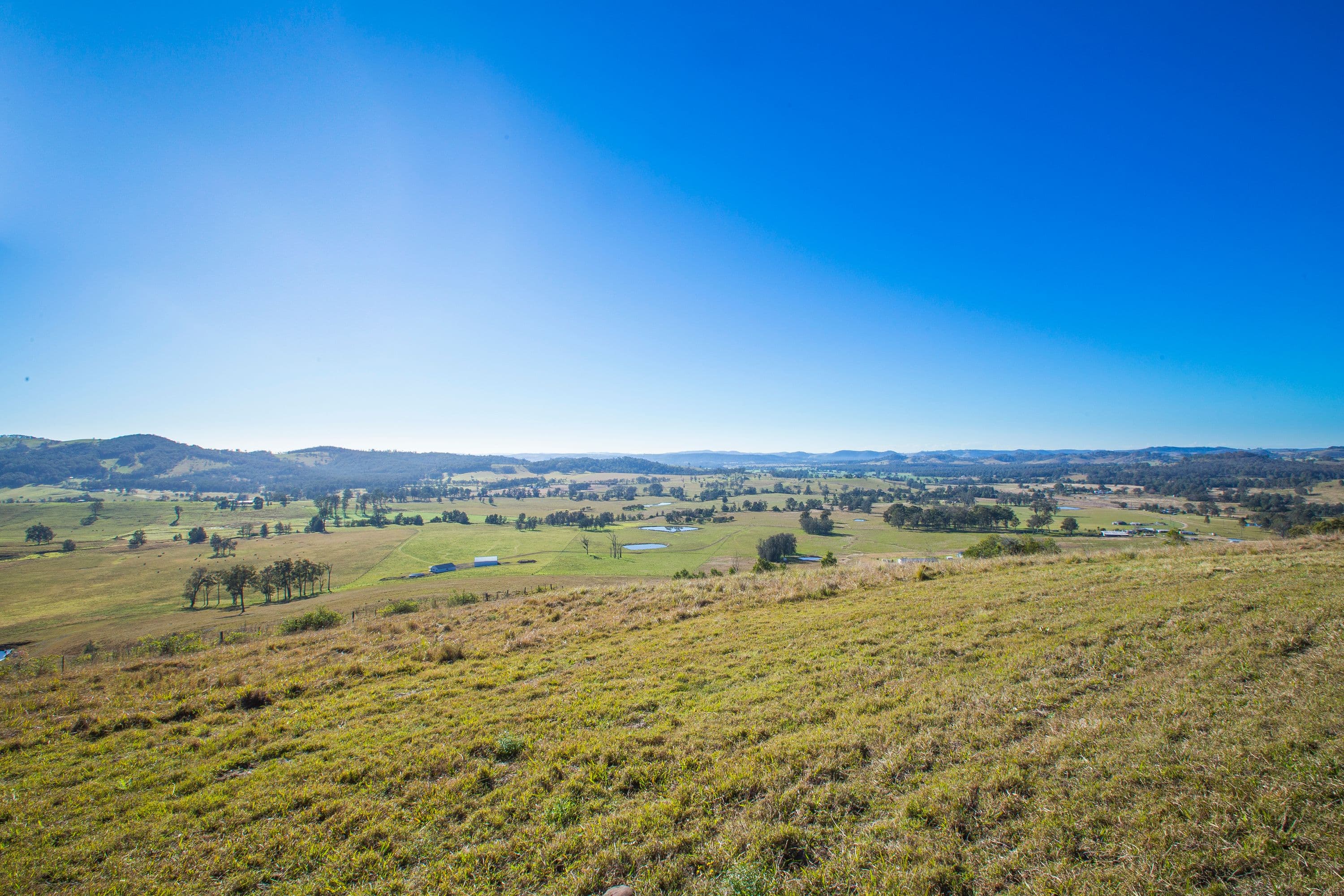 1401 Dungog Road, Wallarobba NSW 2420, Wallarobba - Image 1
