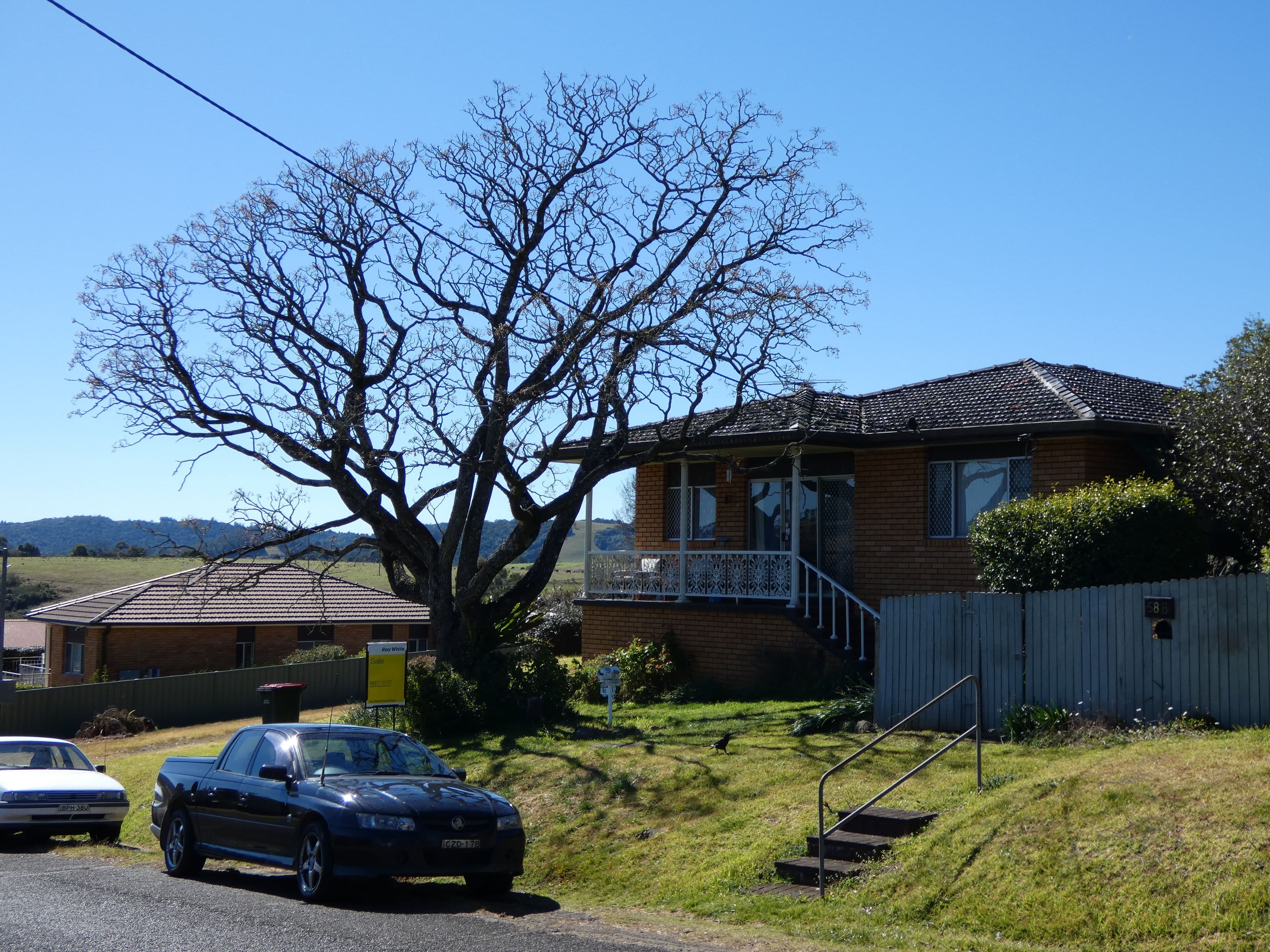 60 Myrtle Street, Dorrigo - Thumbnail 2