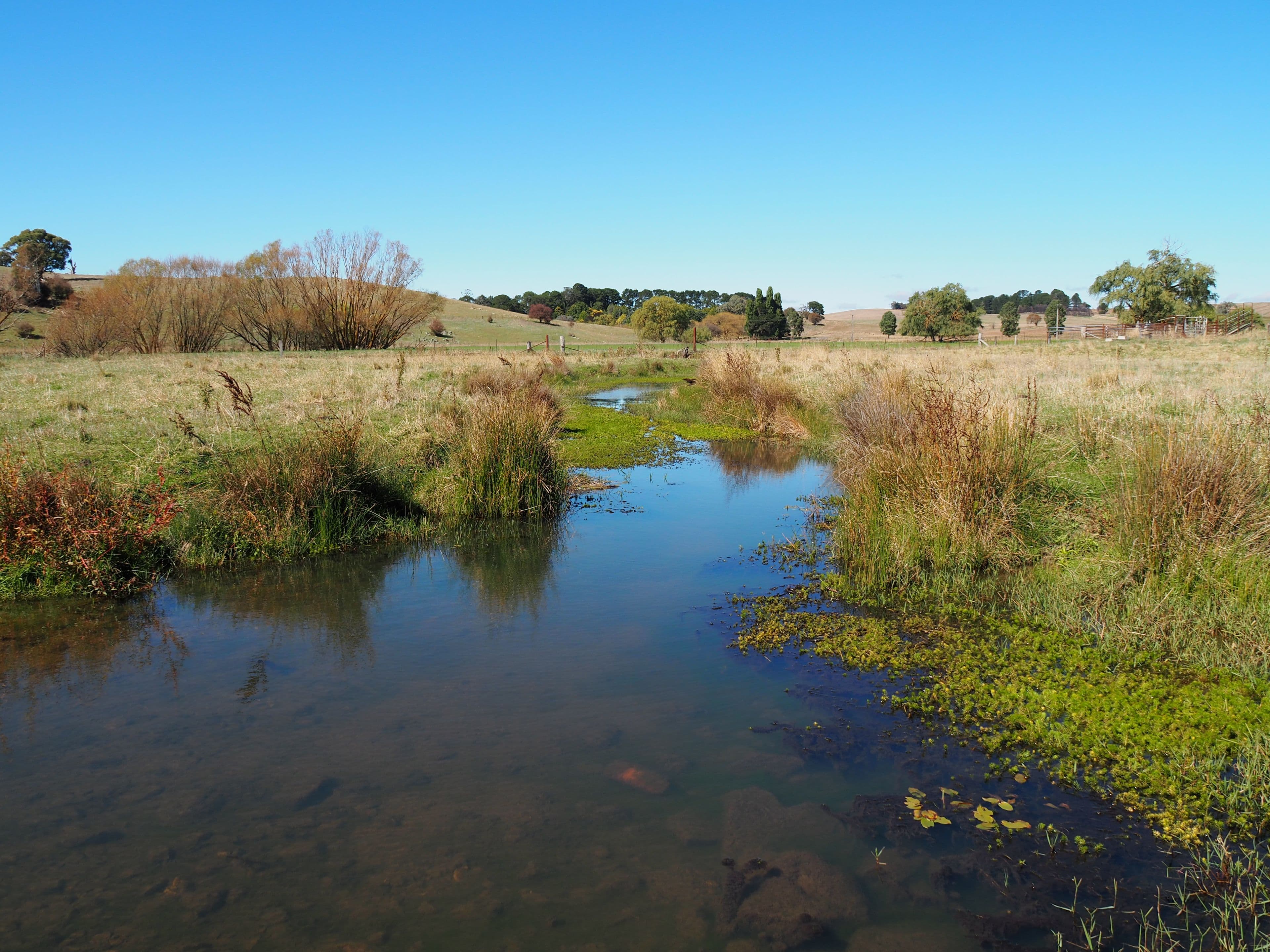 Bathurst NSW 2795, Bathurst - Thumbnail 2