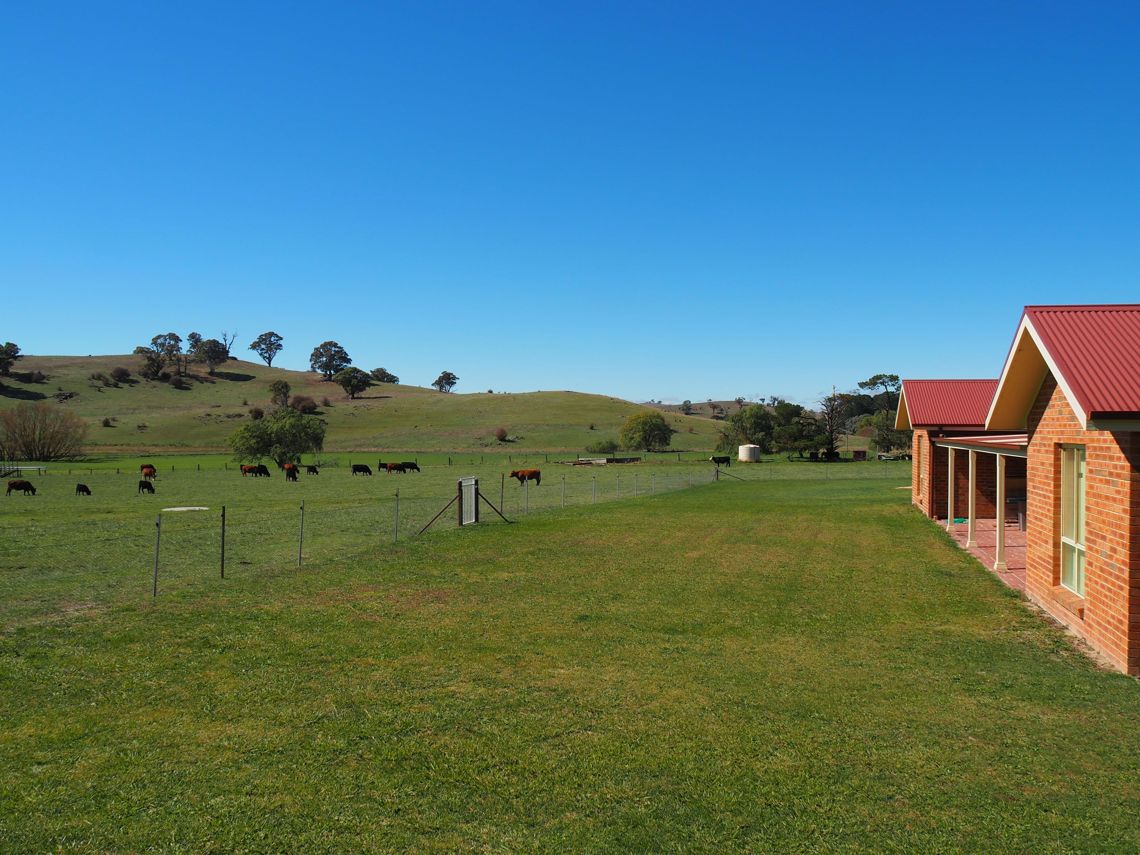 Bathurst NSW 2795, Bathurst - Thumbnail 8