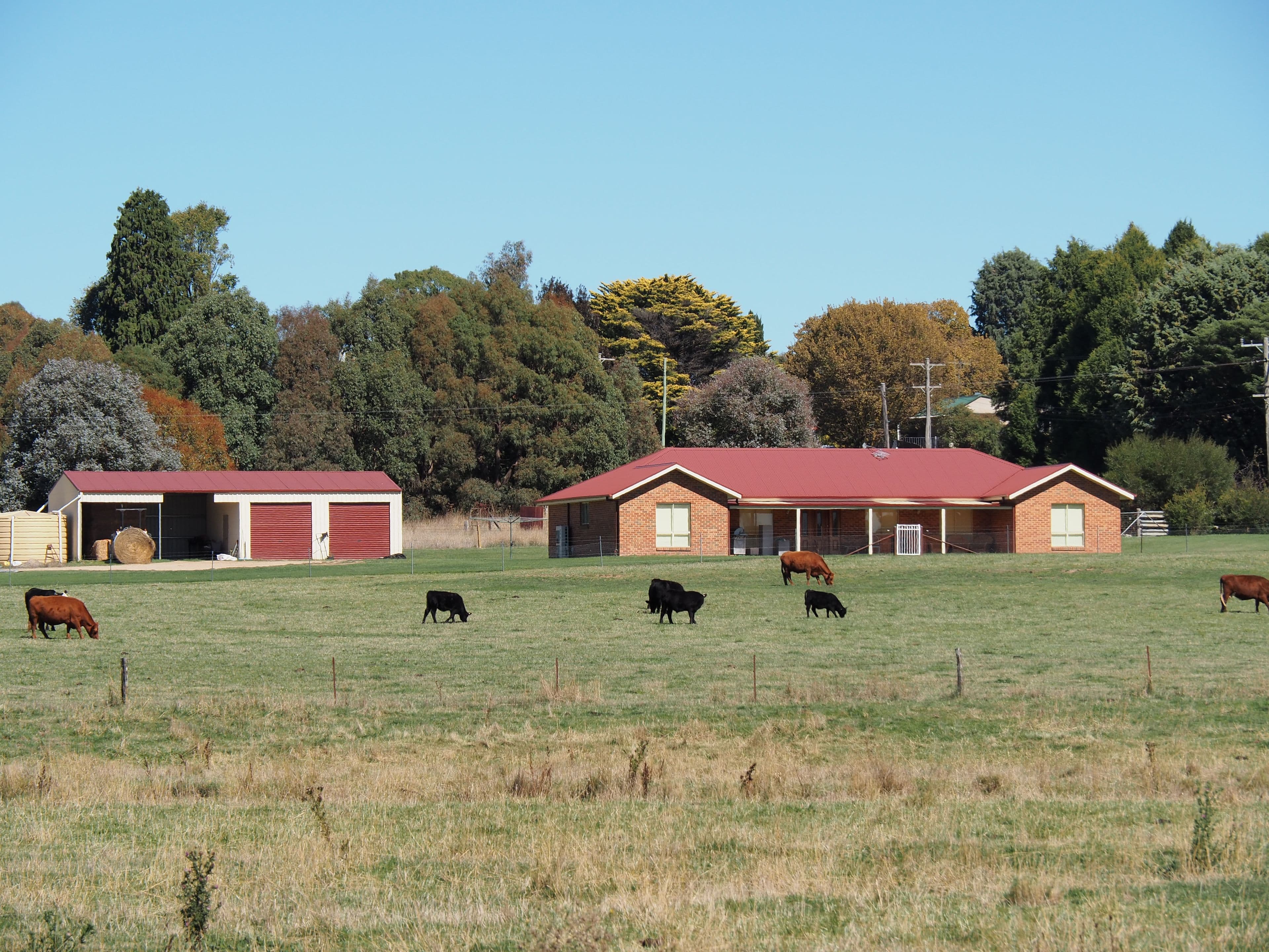 Bathurst NSW 2795, Bathurst - Image 1