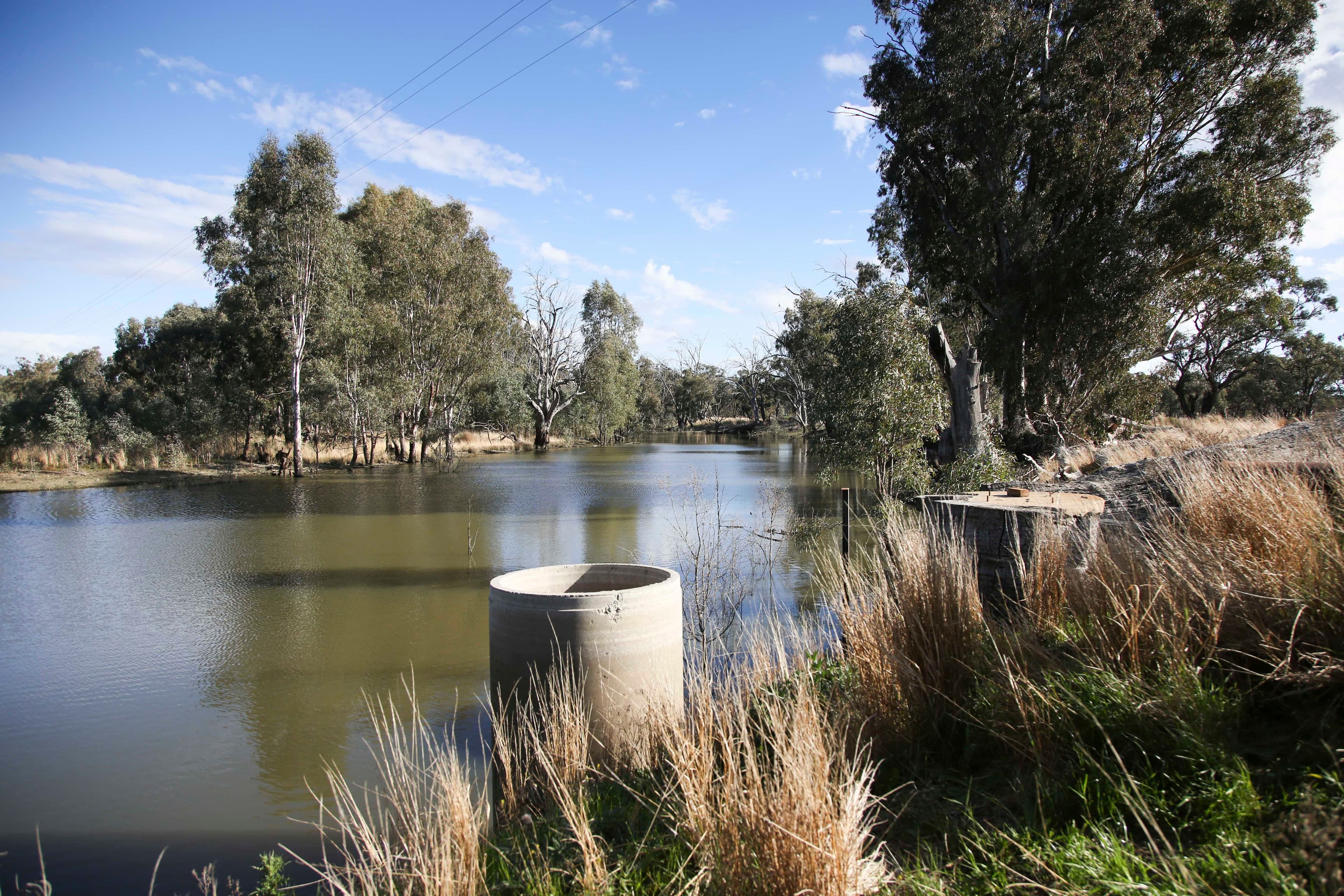'Riverdale' Murrumbidgee River Road, CARRATHOOL NSW 2711, Carrathool - Thumbnail 8