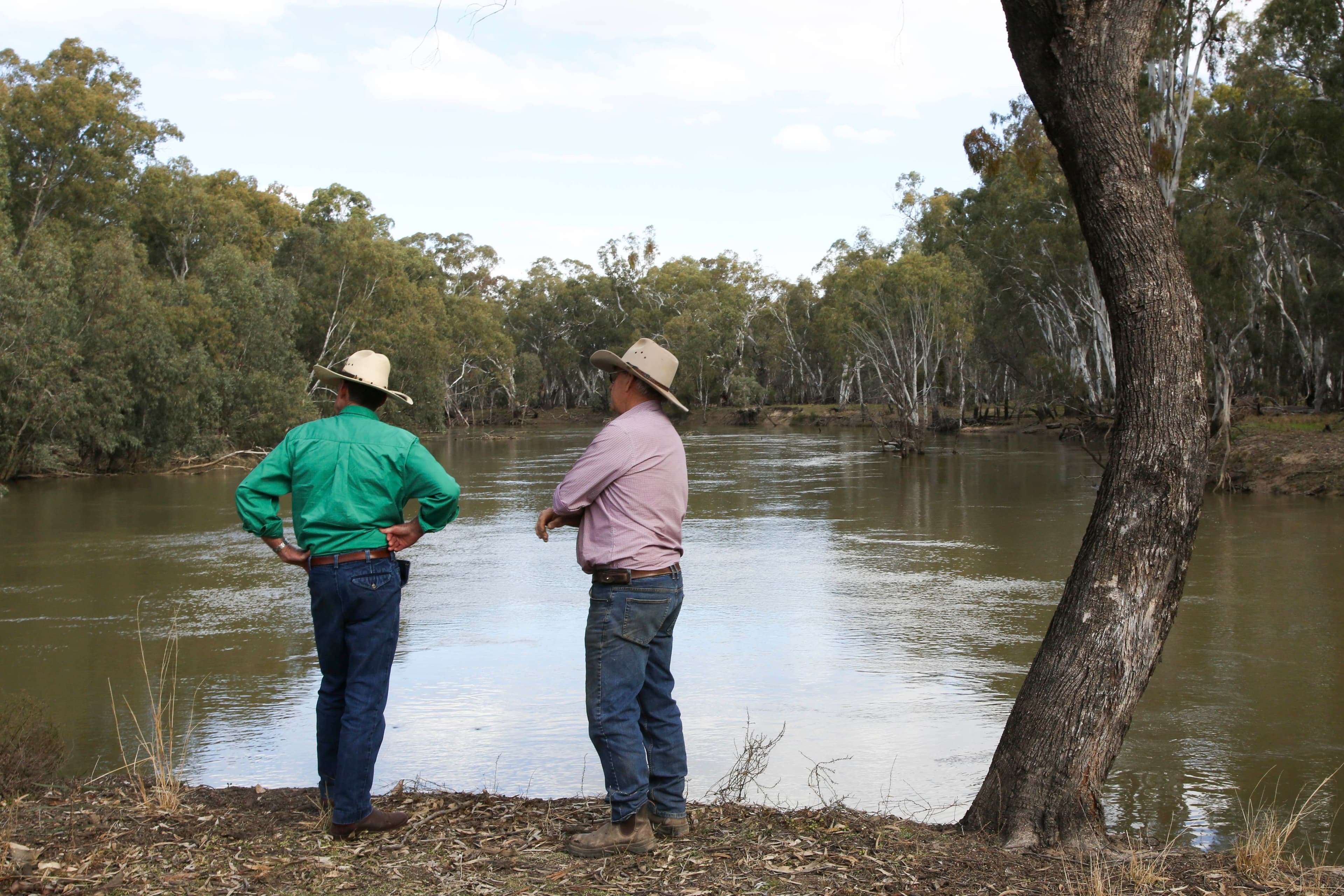 'Riverdale' Murrumbidgee River Road, CARRATHOOL NSW 2711, Carrathool - Thumbnail 4