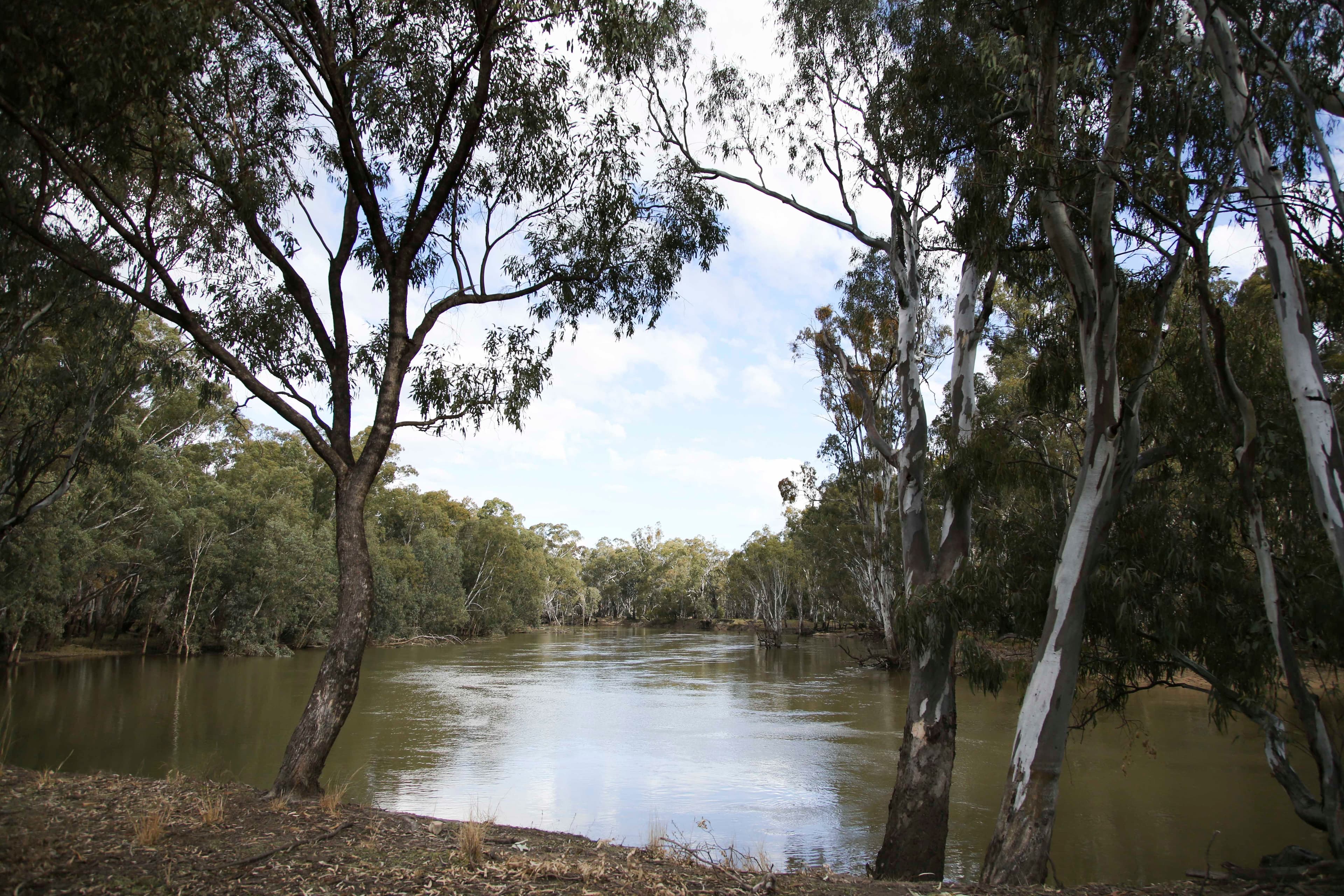 'Riverdale' Murrumbidgee River Road, CARRATHOOL NSW 2711, Carrathool - Thumbnail 7