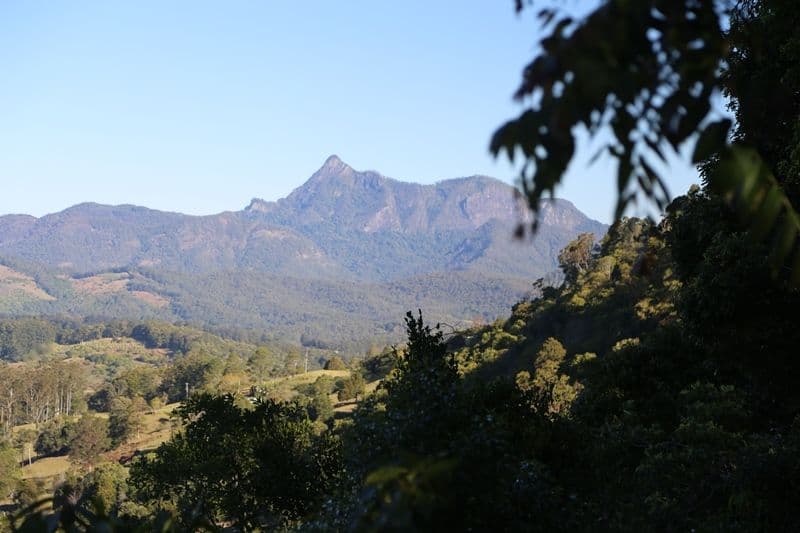 3537 Nerang Murwillumbah Road, NATURAL BRIDGE QLD 4211, Natural Bridge - Image 1