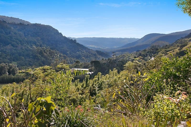3537 Nerang Murwillumbah Road, NATURAL BRIDGE QLD 4211, Natural Bridge - Thumbnail 6