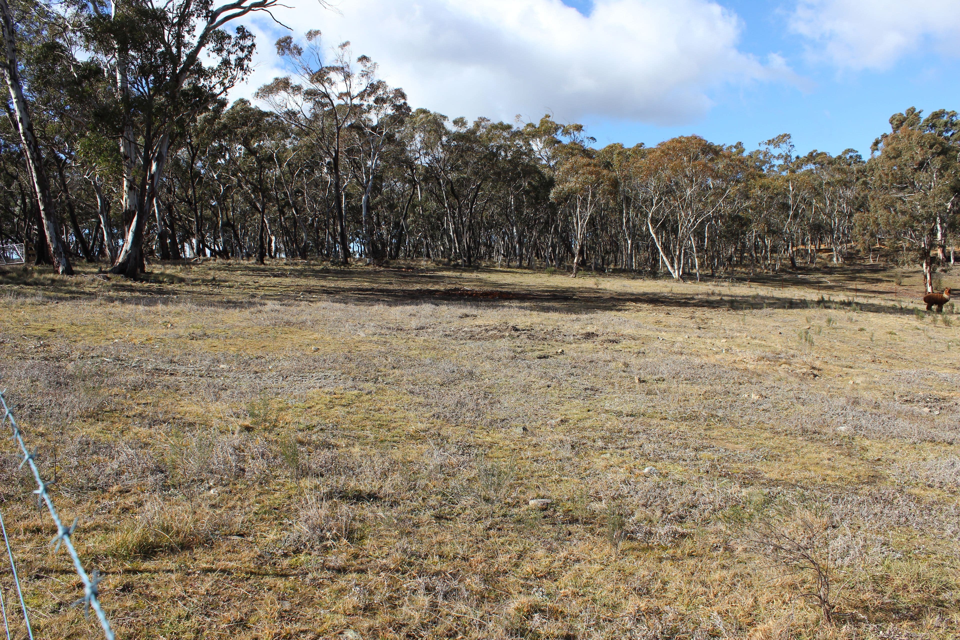 255 Cartwright Street, Rydal NSW 2790, Rydal - Thumbnail 3