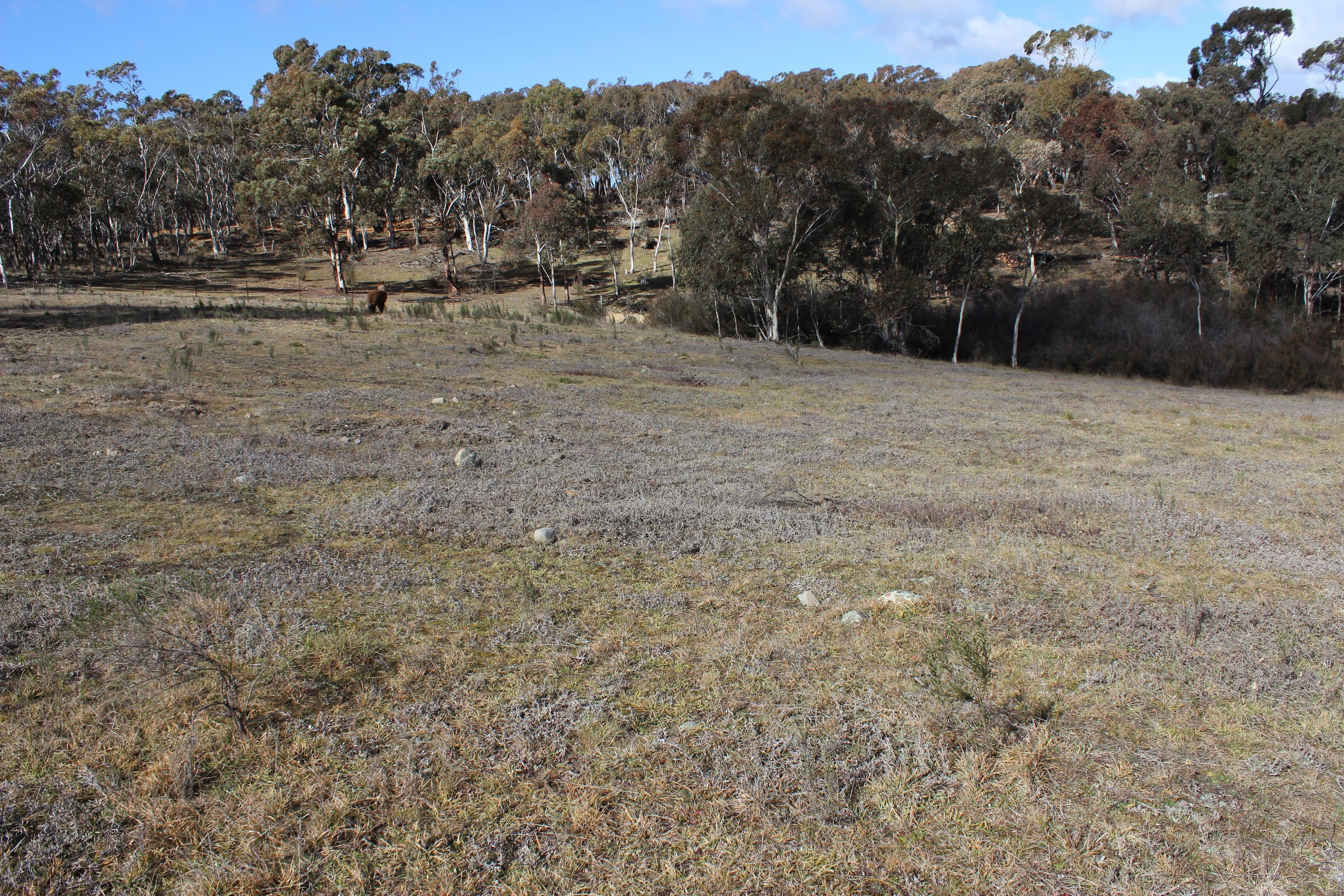 255 Cartwright Street, Rydal NSW 2790, Rydal - Thumbnail 4